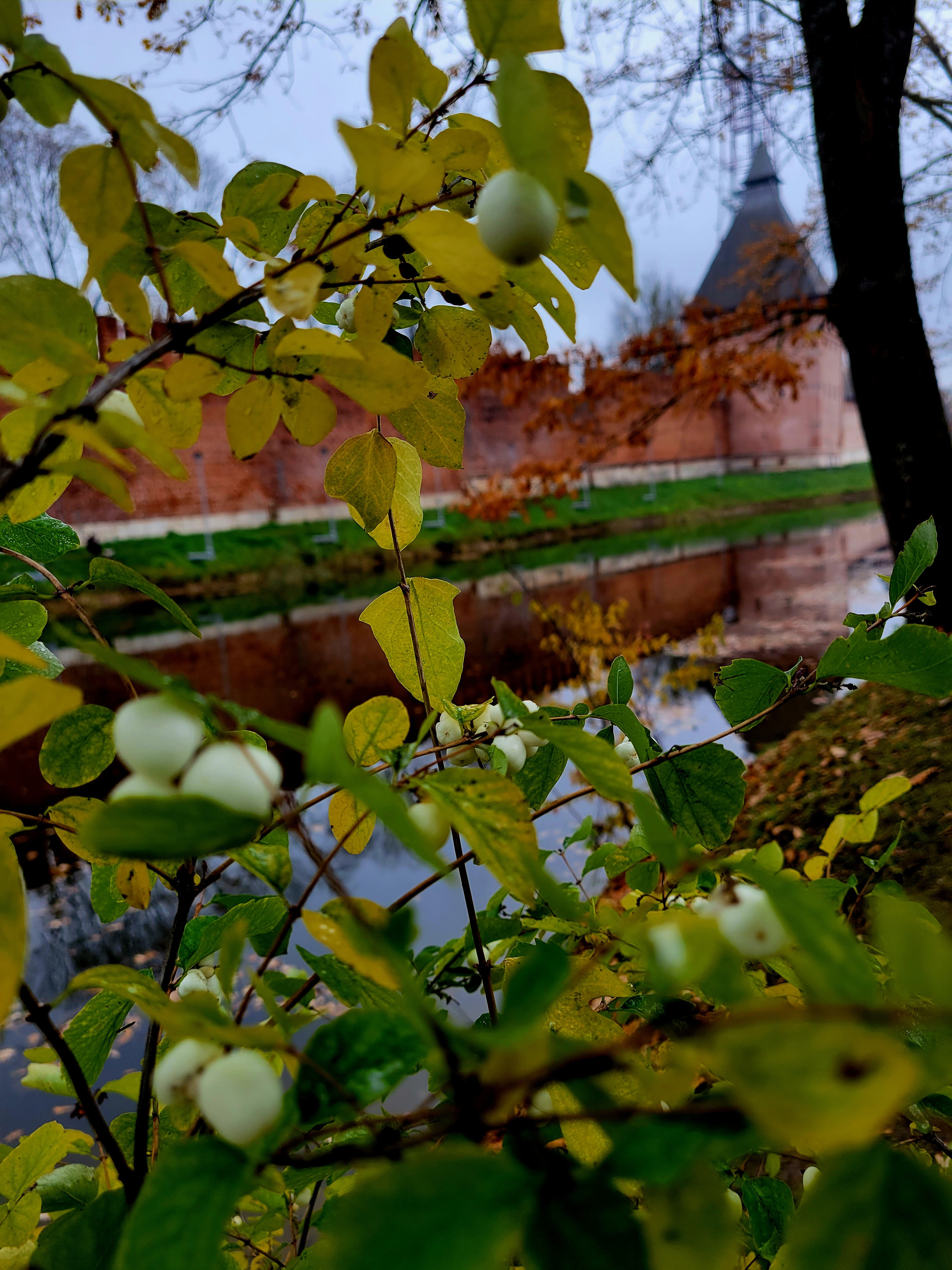 Wall, moat with water... City-fortress was attacked a lot of times in its history