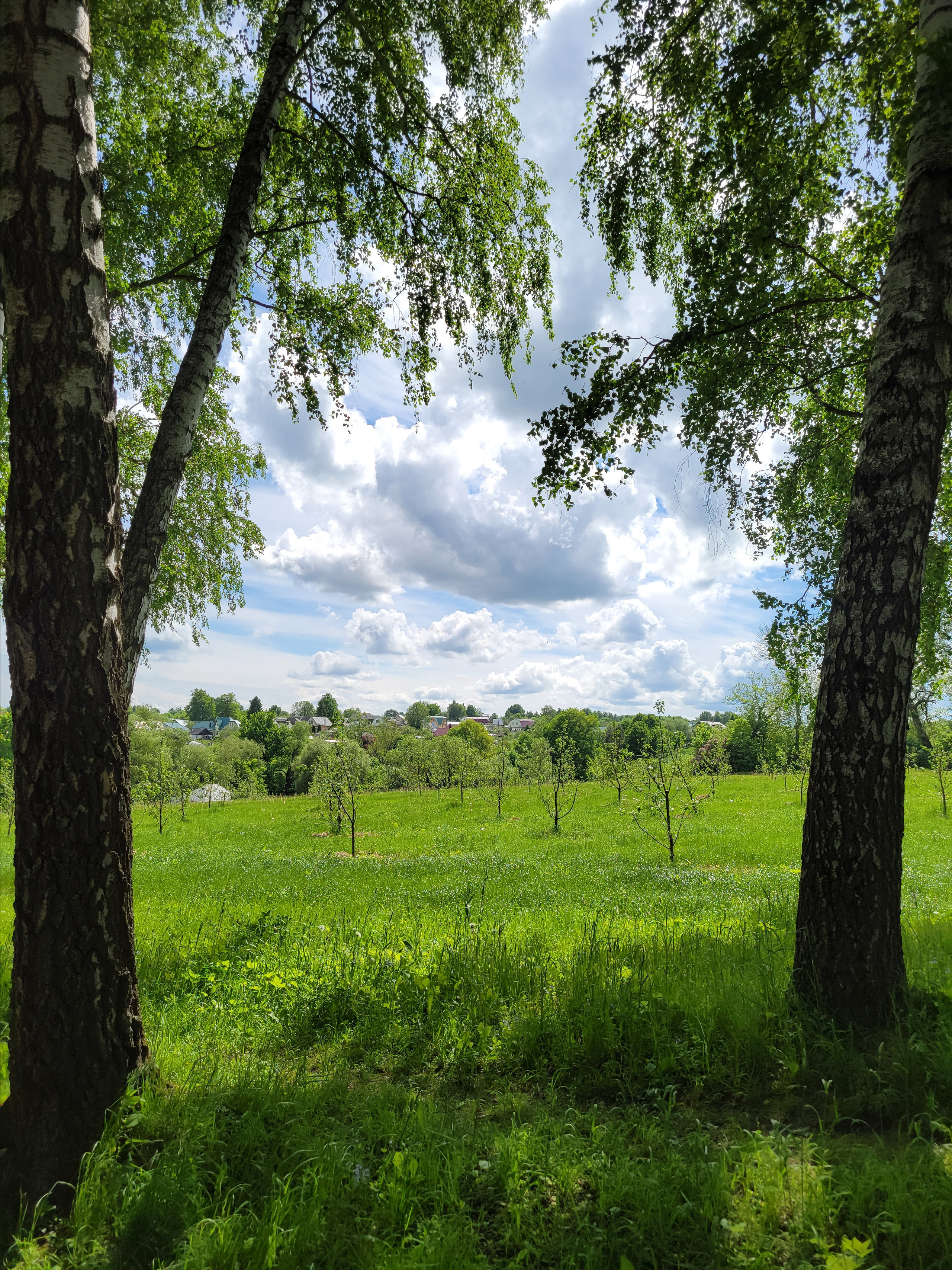 Тула. 06/22. Walk & Fly with Batay