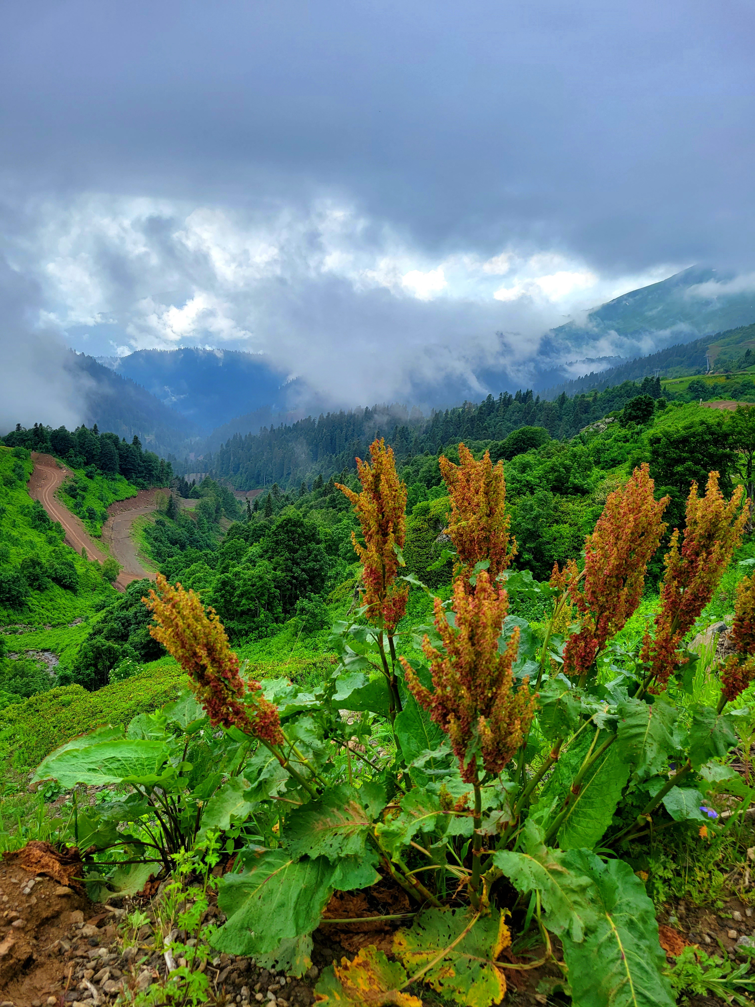 Two kilometres later clearly understand which of our clotes/boots are right, and which we should change immediately