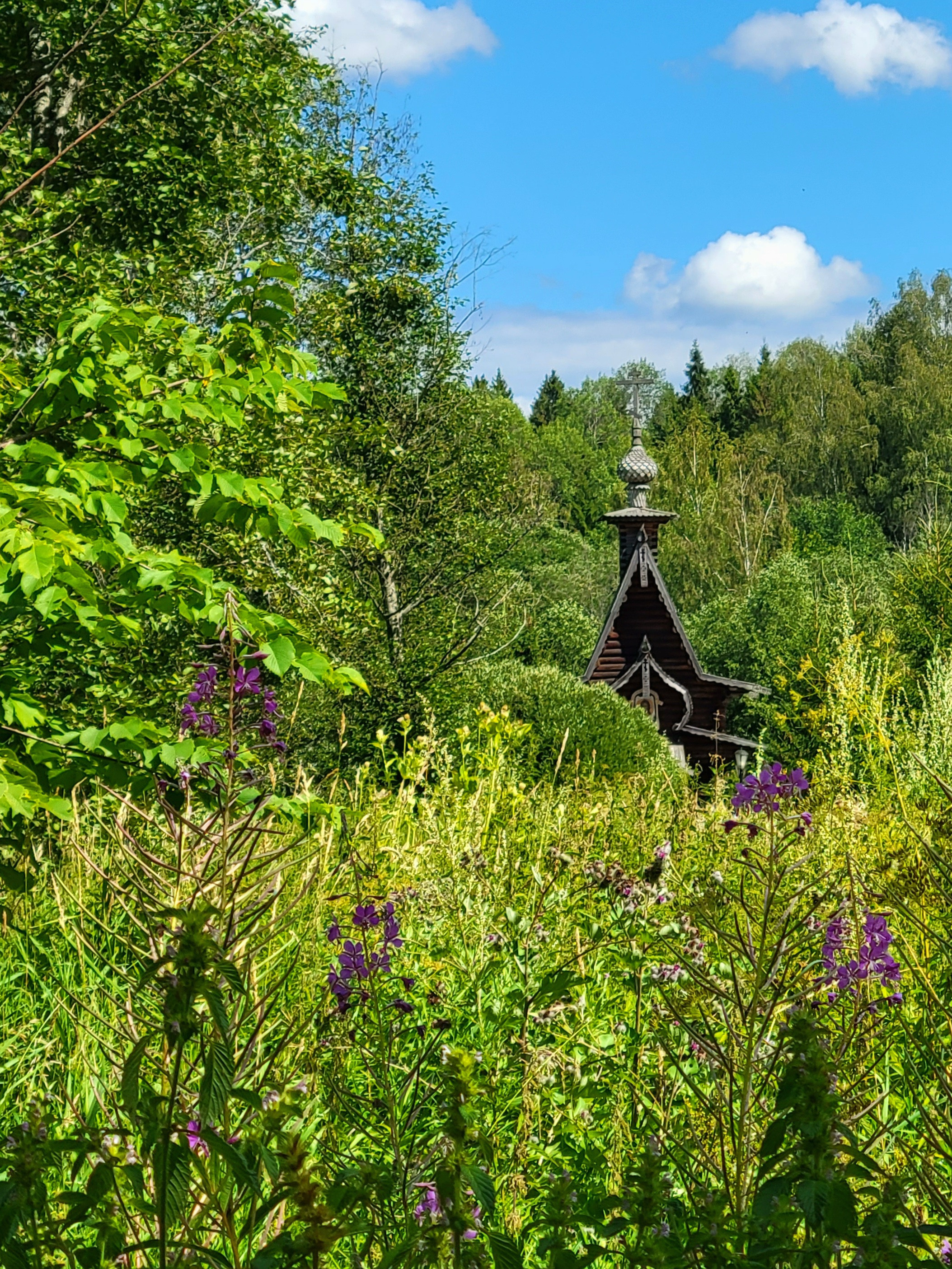 Но трава в наших местах летом зеленая, а не желто-сухая