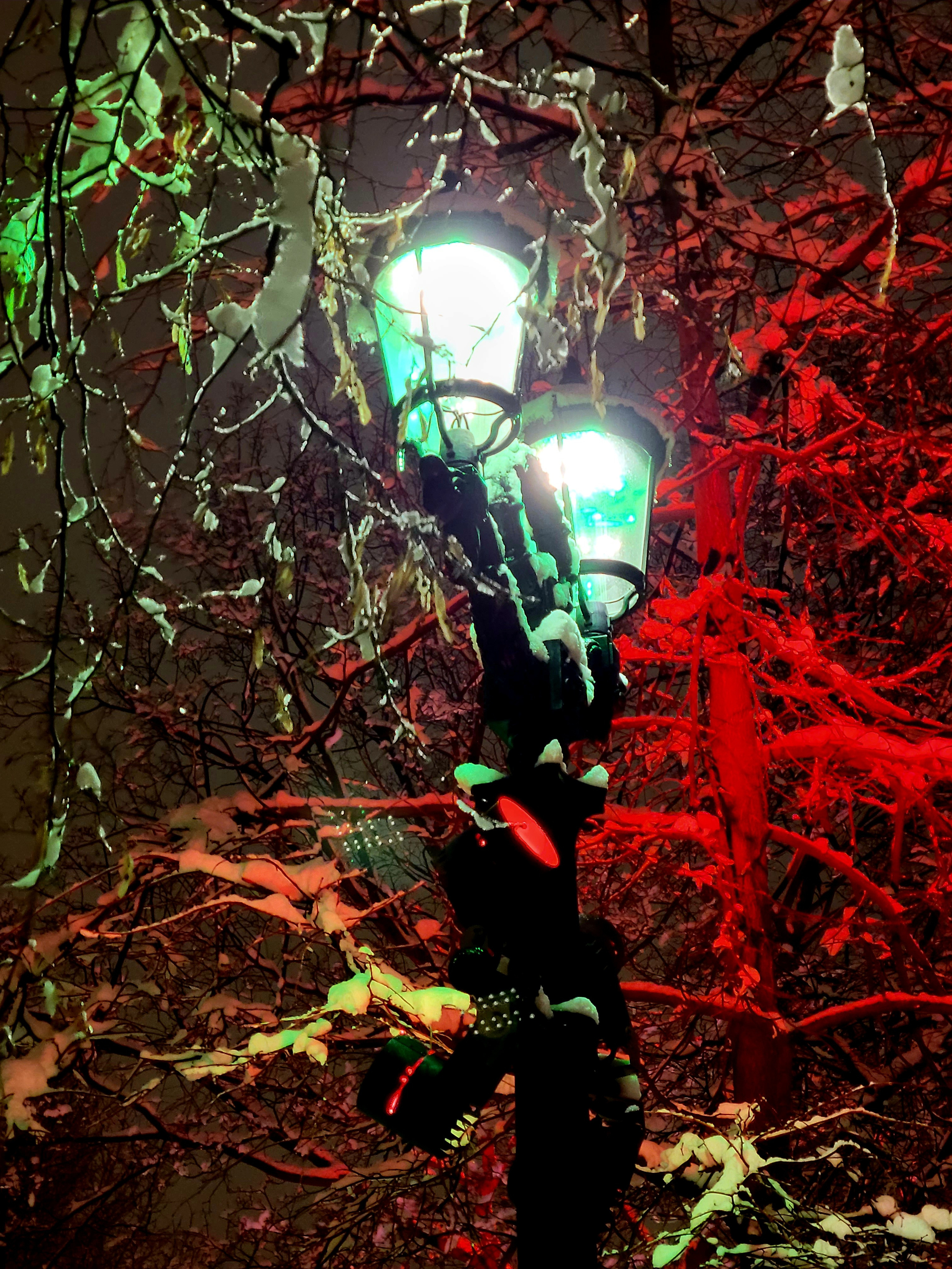 Бульварное кольцо просто подсветкой здорово украшено