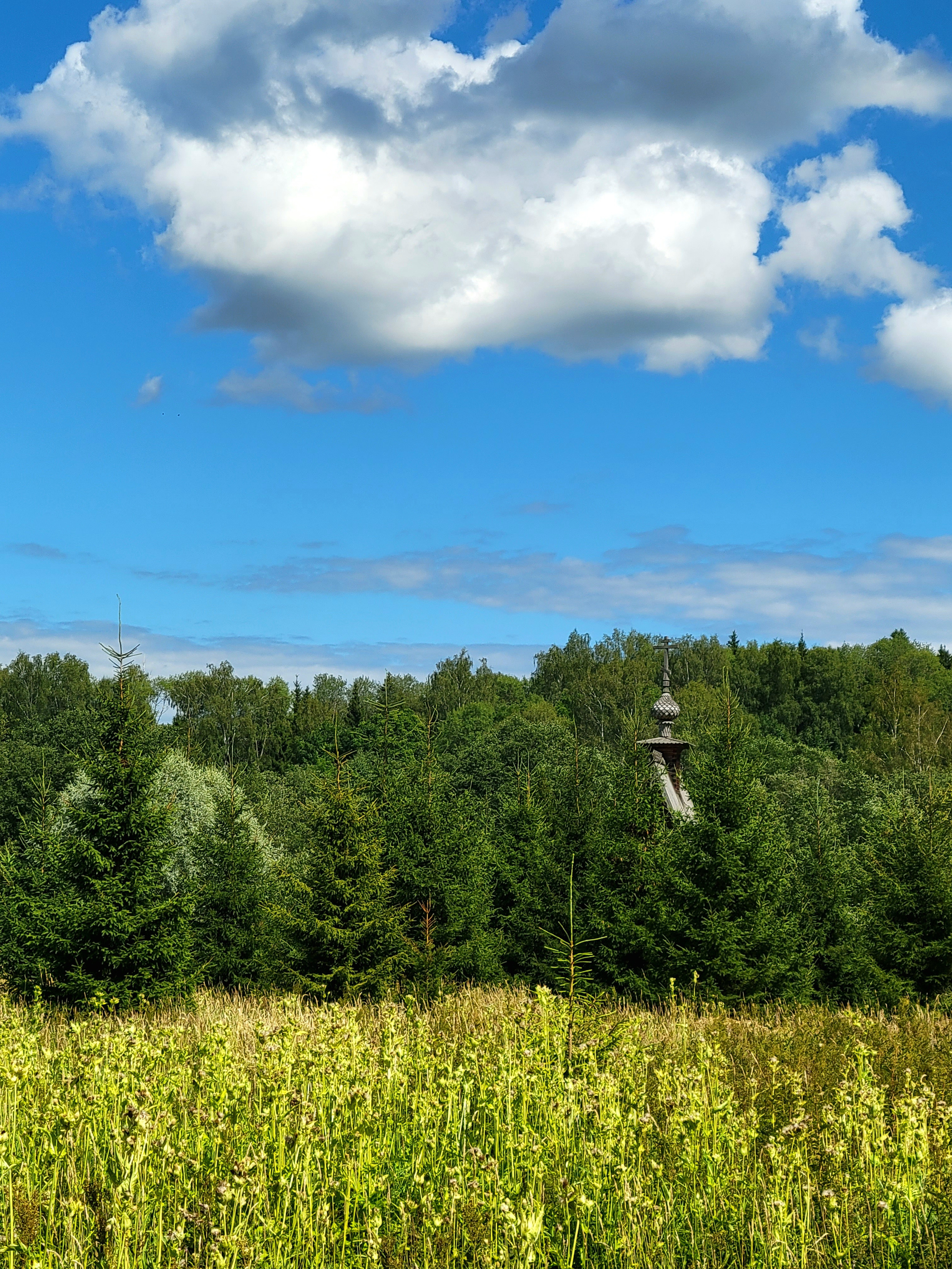 Жаркое яркое лето