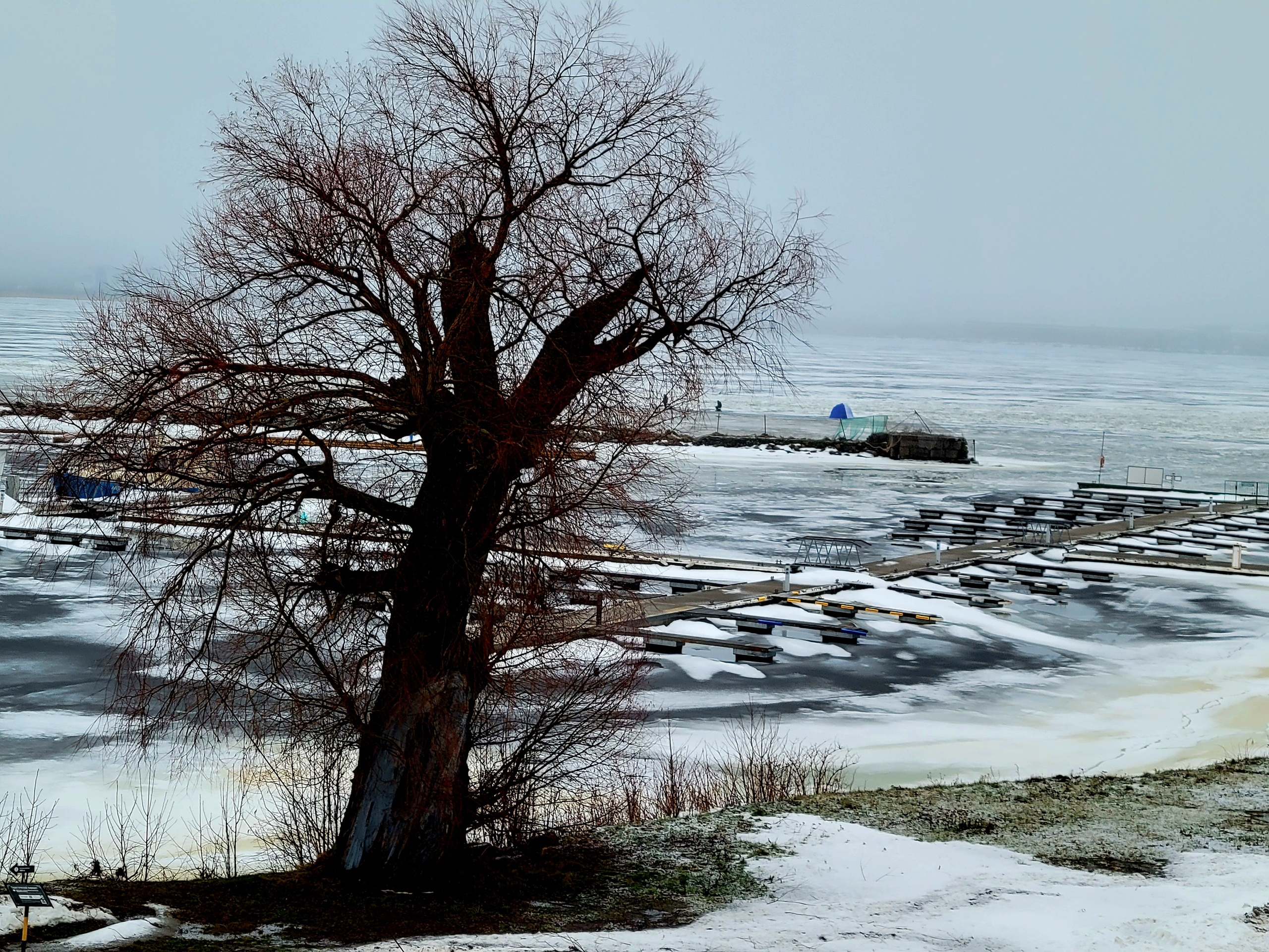 Короткий зимний день. Полдень, до заката несколько часов