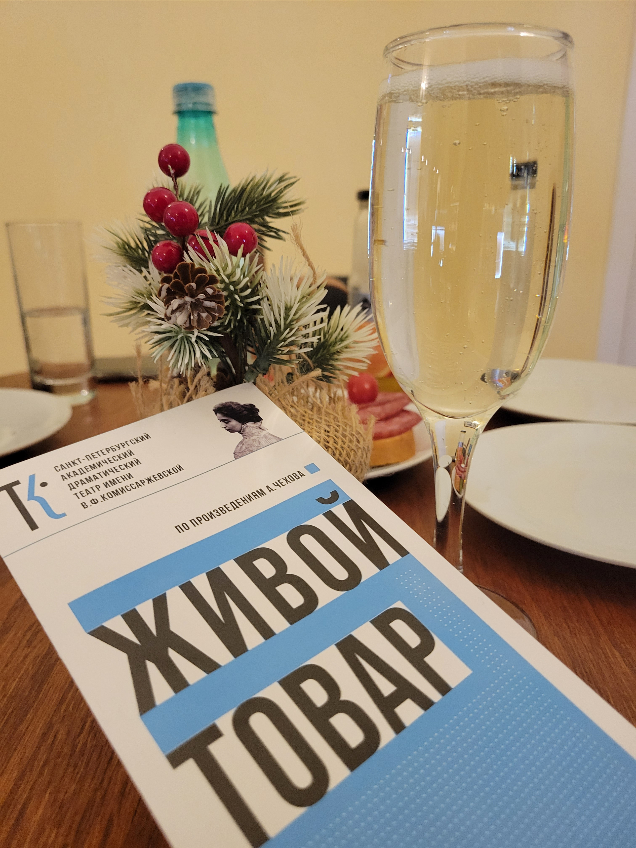 В зимнюю погоду и стужу наслаждались культурой. Два похода в театр Комиссаржевской. Оба раза - восторг!