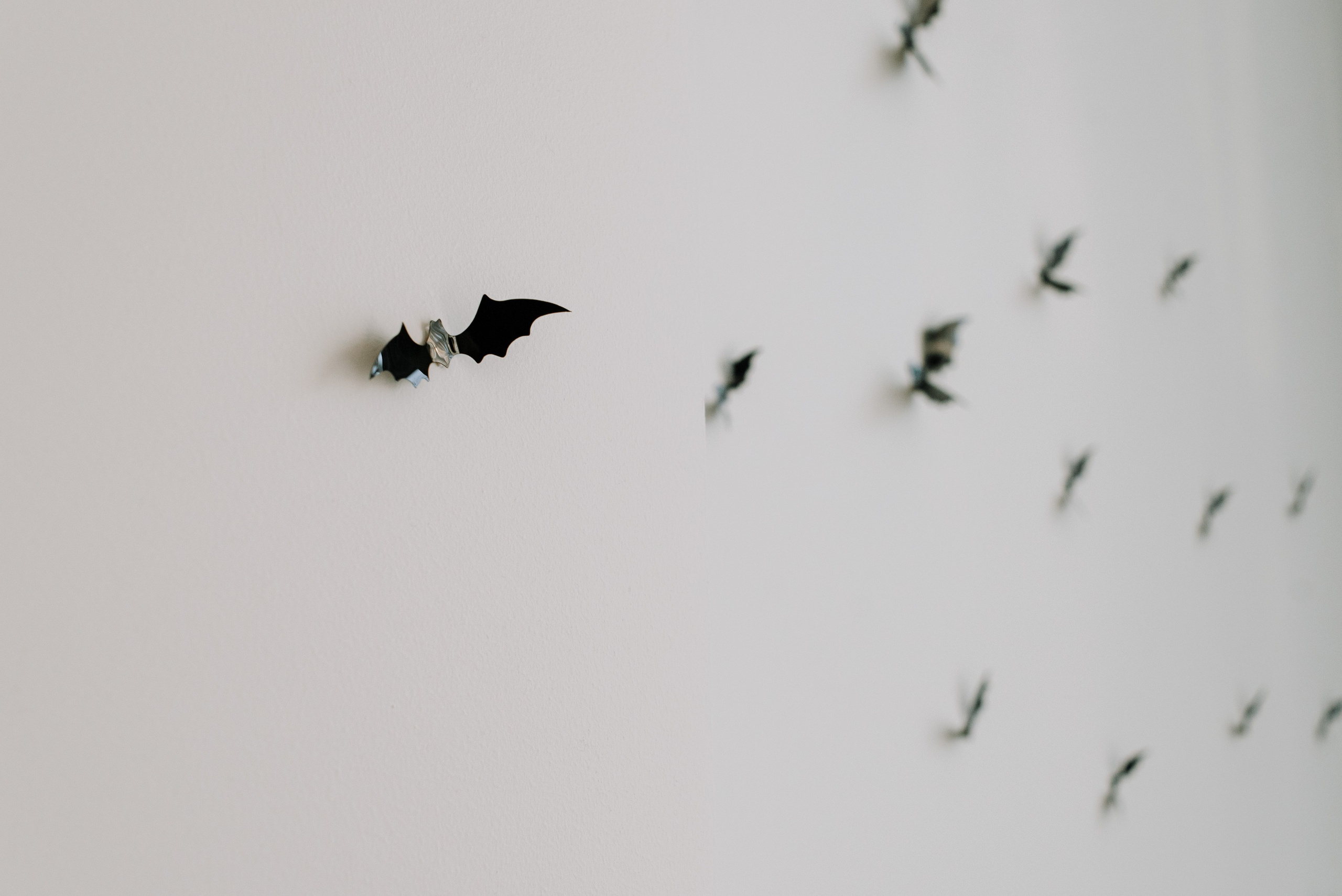 День рождения Соня