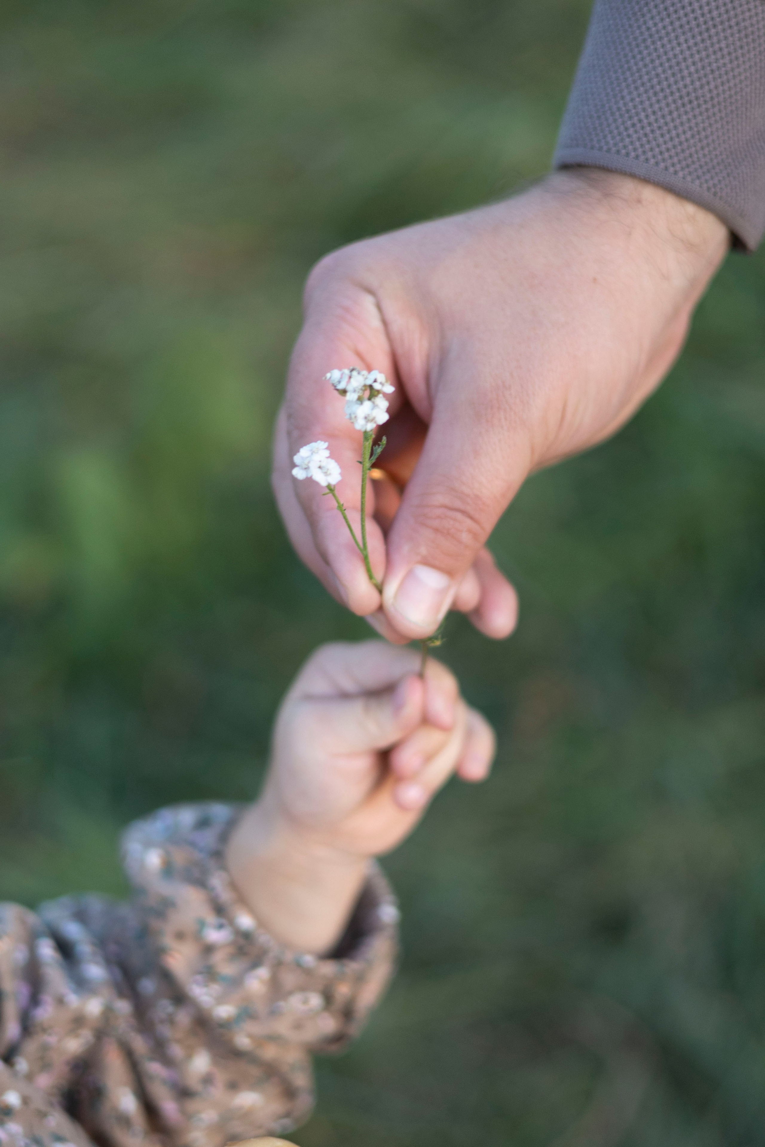 Аня, Саша, Соня и Лена. Семейный и детский фотограф в Москве Анастасия Мурга