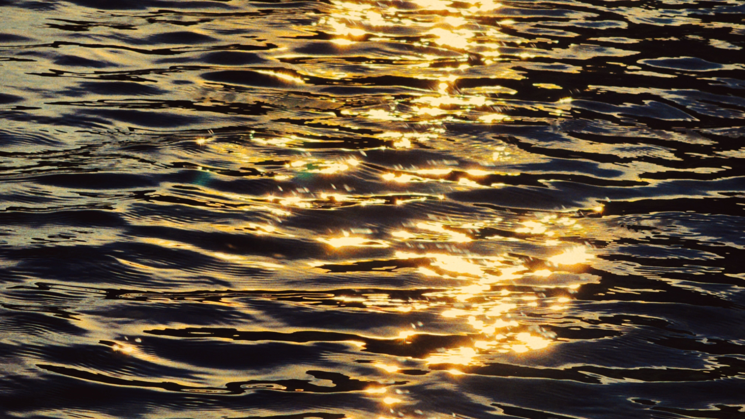 SUN. Виолетта Скрипка