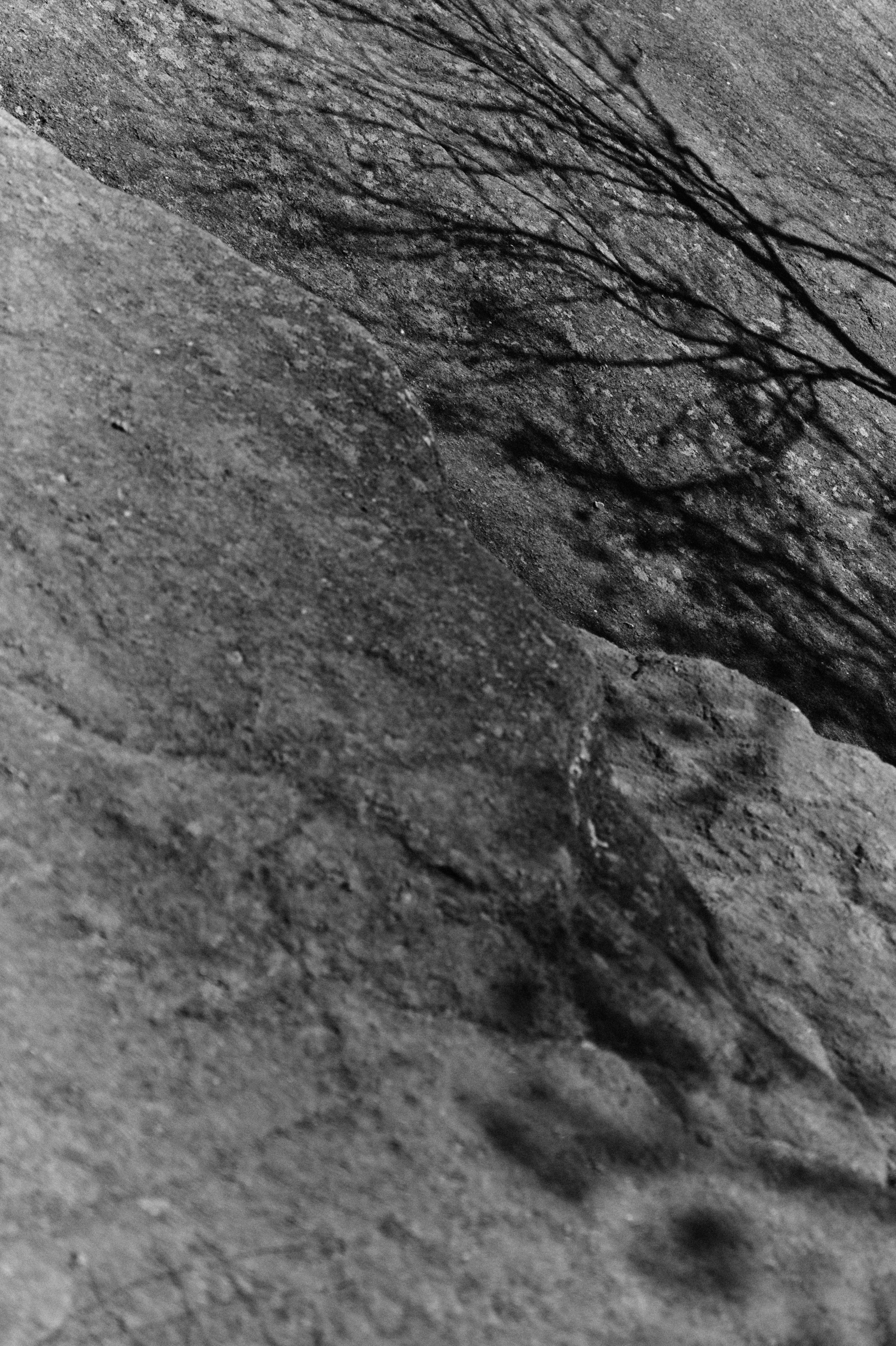 BAON x SAKHALIN. Фотограф Сурков Никита