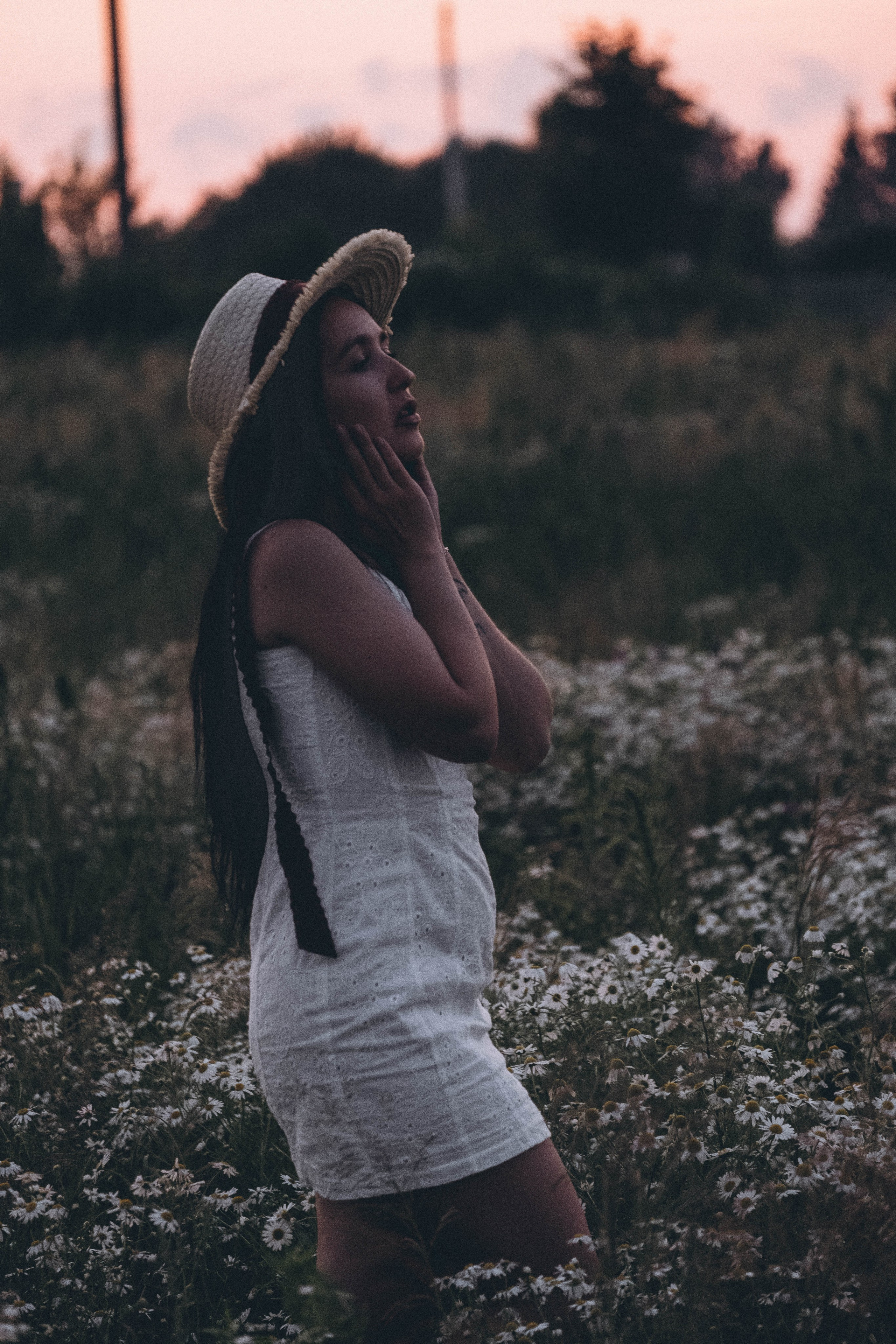 Ромашковое поле. Профессиональный фотограф, Санкт-Петербург — Виктория Богомолова