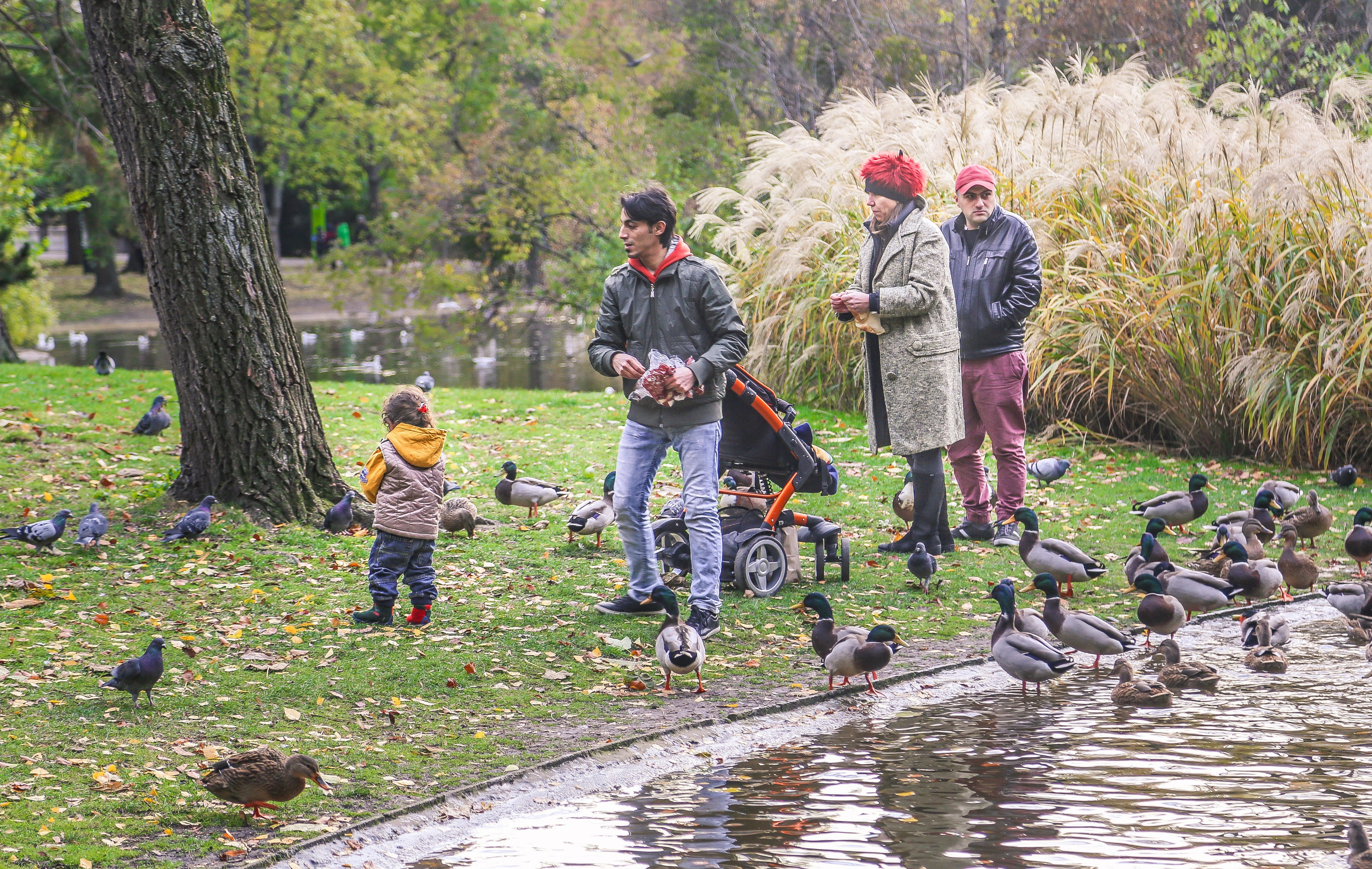 Австрия: Вена — Святой Стефан, Штадтпарк, Бельведер. Дарья Письменюк / Darya Leitstern — фотограф, музыкант, журналист, путешественник