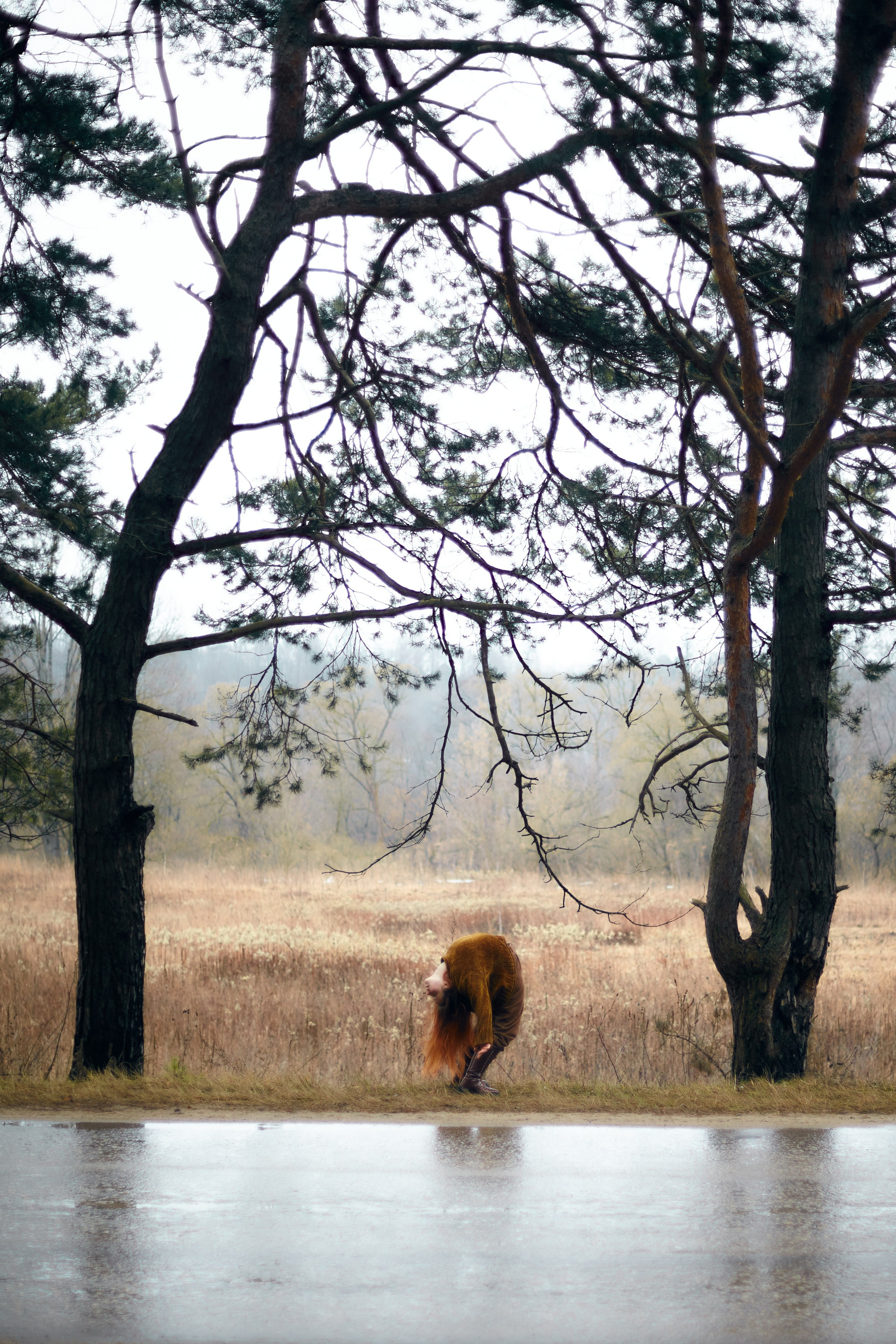 Фотографии. Savanna