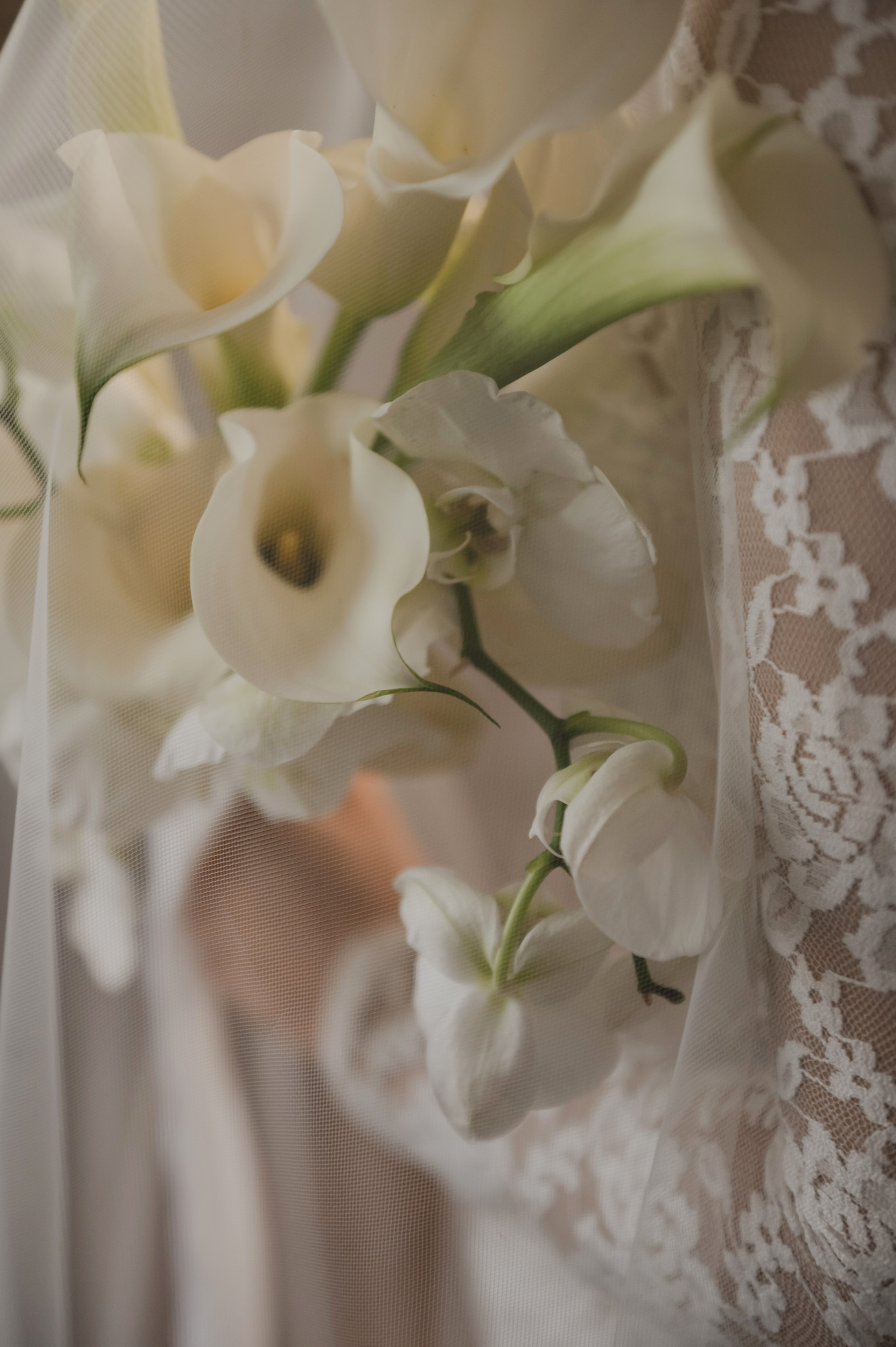 Юля и Ерлан. Свадебный и семейный фотограф Катя Шайни