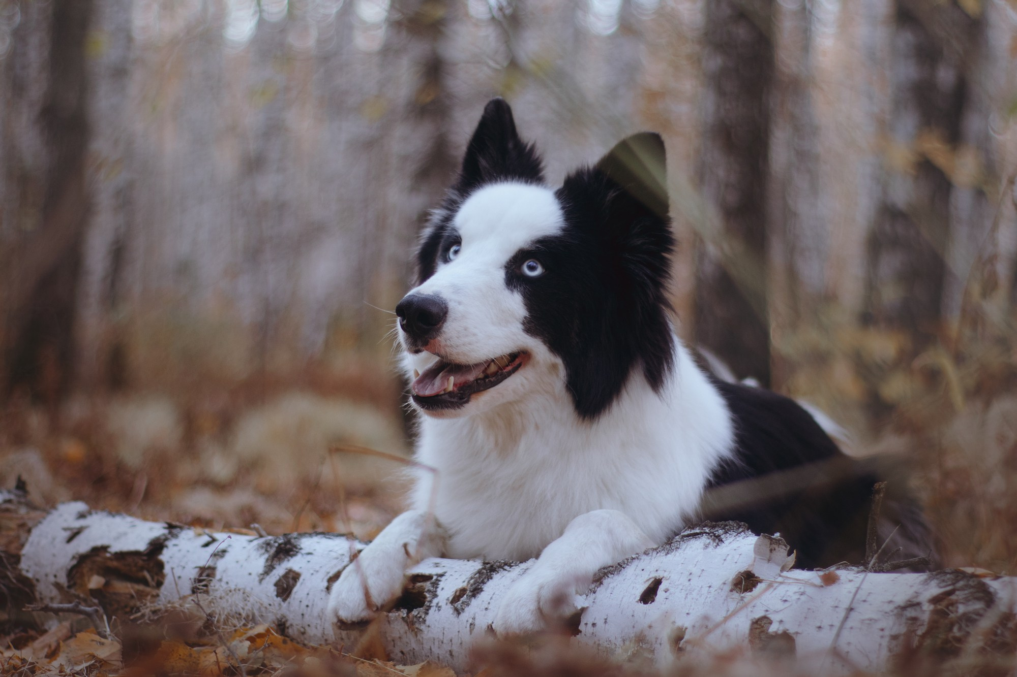 Ликёр. Фотограф в Тюмени Лизавета Сапицкая