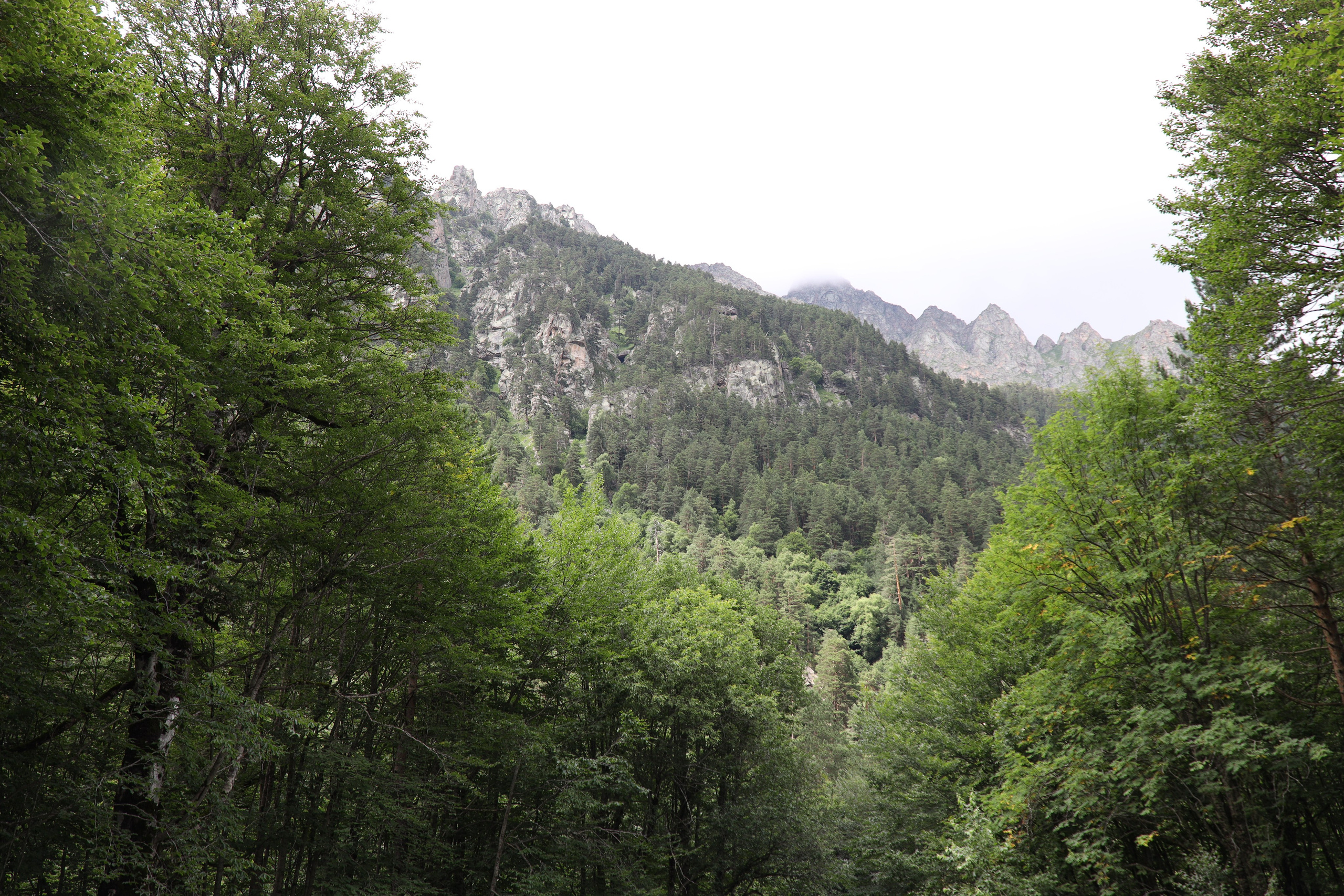 Северная Осетия июль 2025 год. Кармадон, Даргивз и Цей. Семейный детский фотограф Краснодарский край Оксана Колос