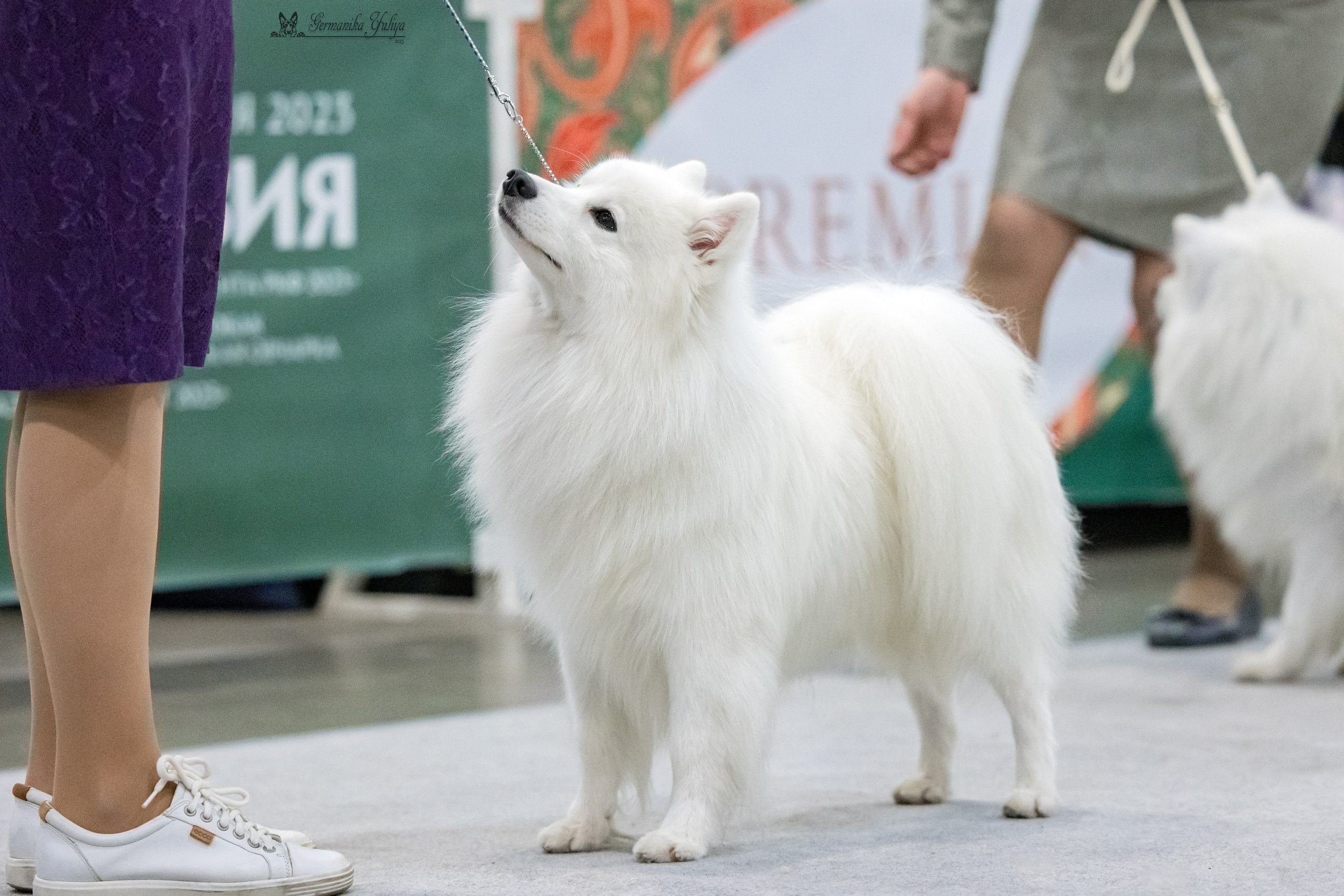 ЕВРАЗИЯ 18-19.11.2023. Фотограф-анималист Юлия Германика