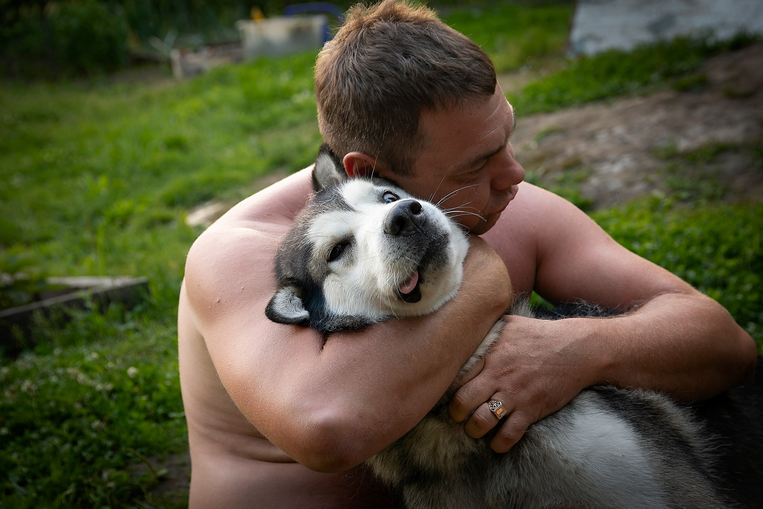 Мои маламуты.Ярик. Лев Постнов.Фотограф. Нижний Новгород