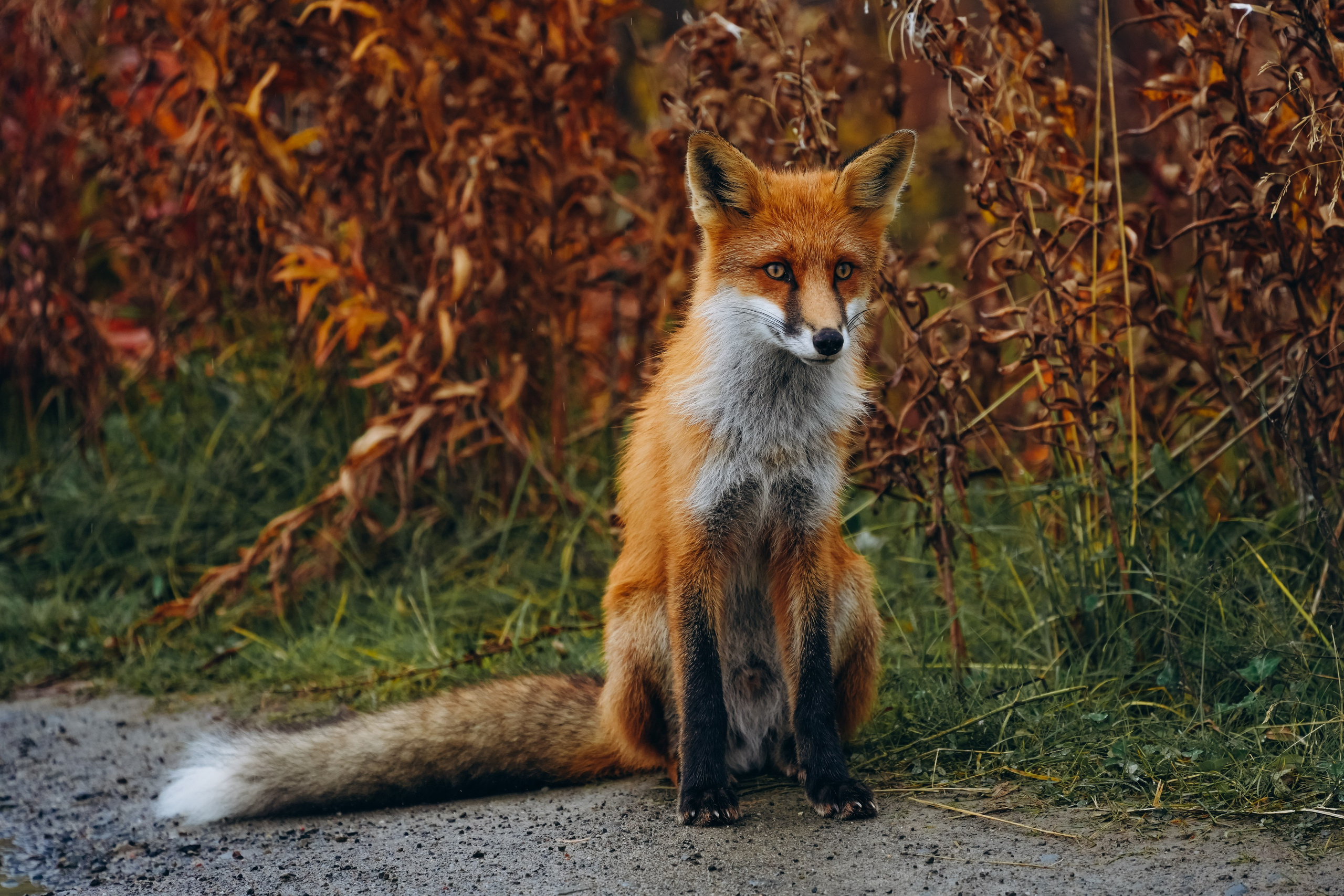 СЕВЕР. Event фотограф Степанова Александра