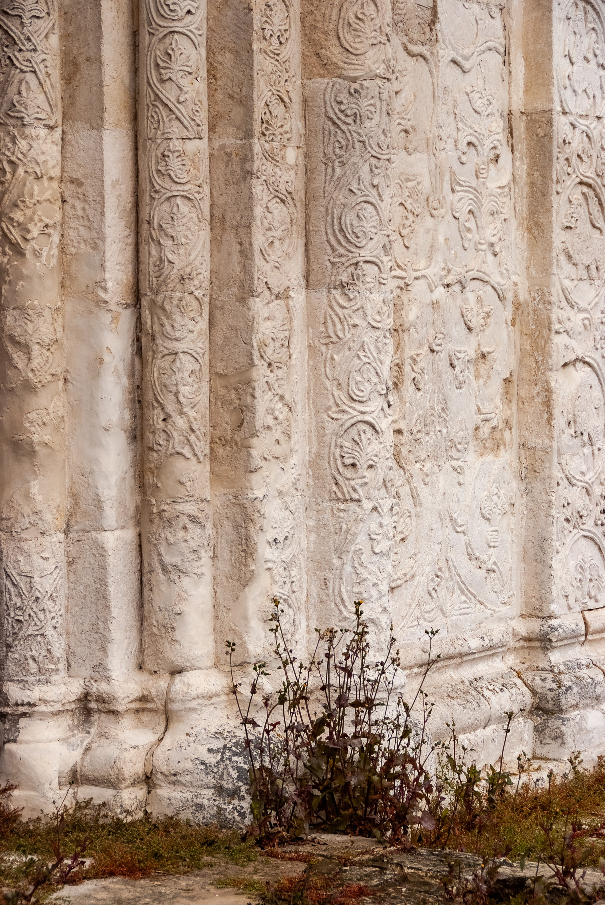 Путешествие по городам Золотого кольца во Владимирской области. Юрьев-Польский. Пейзажный фотограф Сергей Пестерев. Фото природы