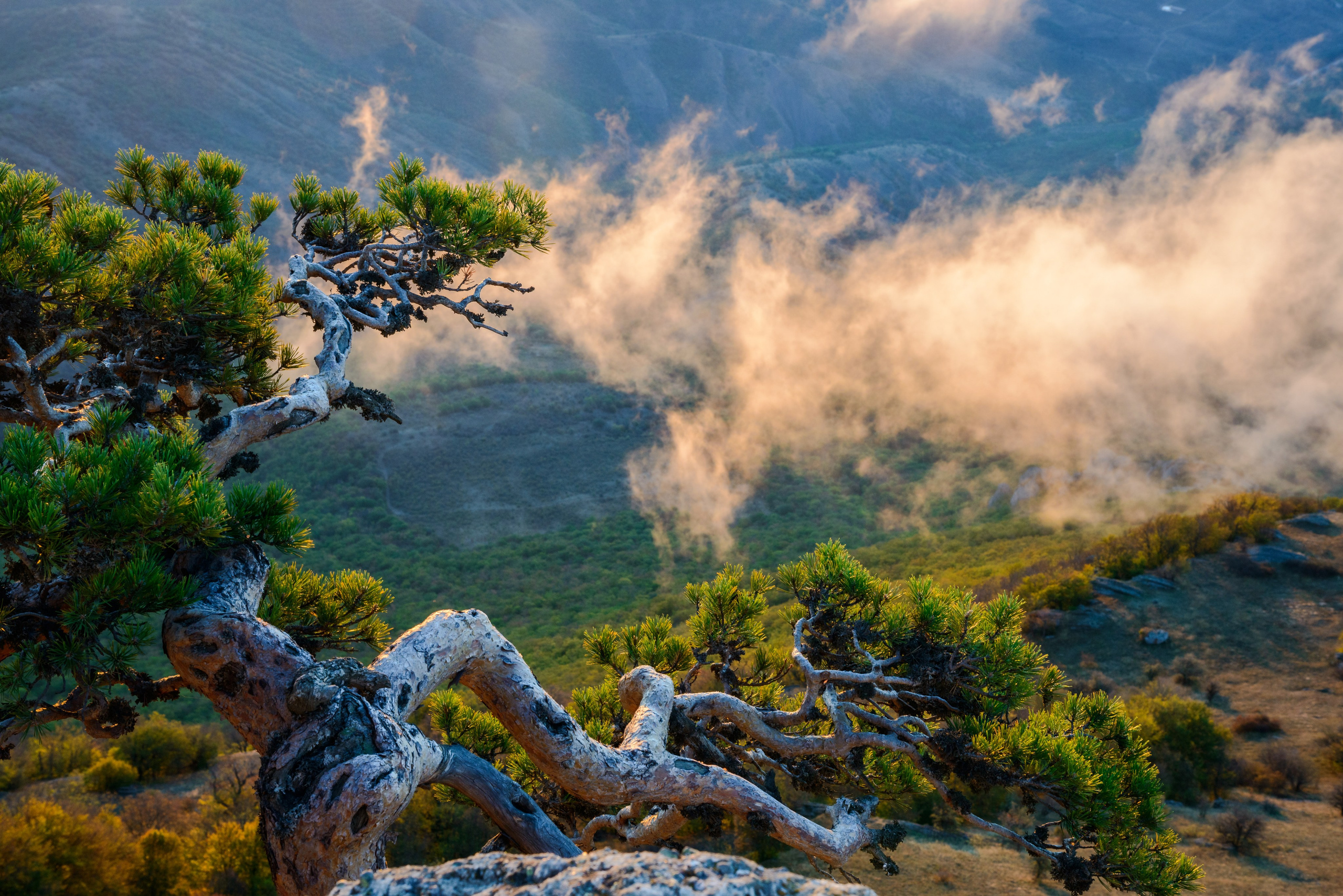 Путешествие по южному берегу Крыма в начале осени. Пейзажный фотограф Сергей Пестерев. Фото природы