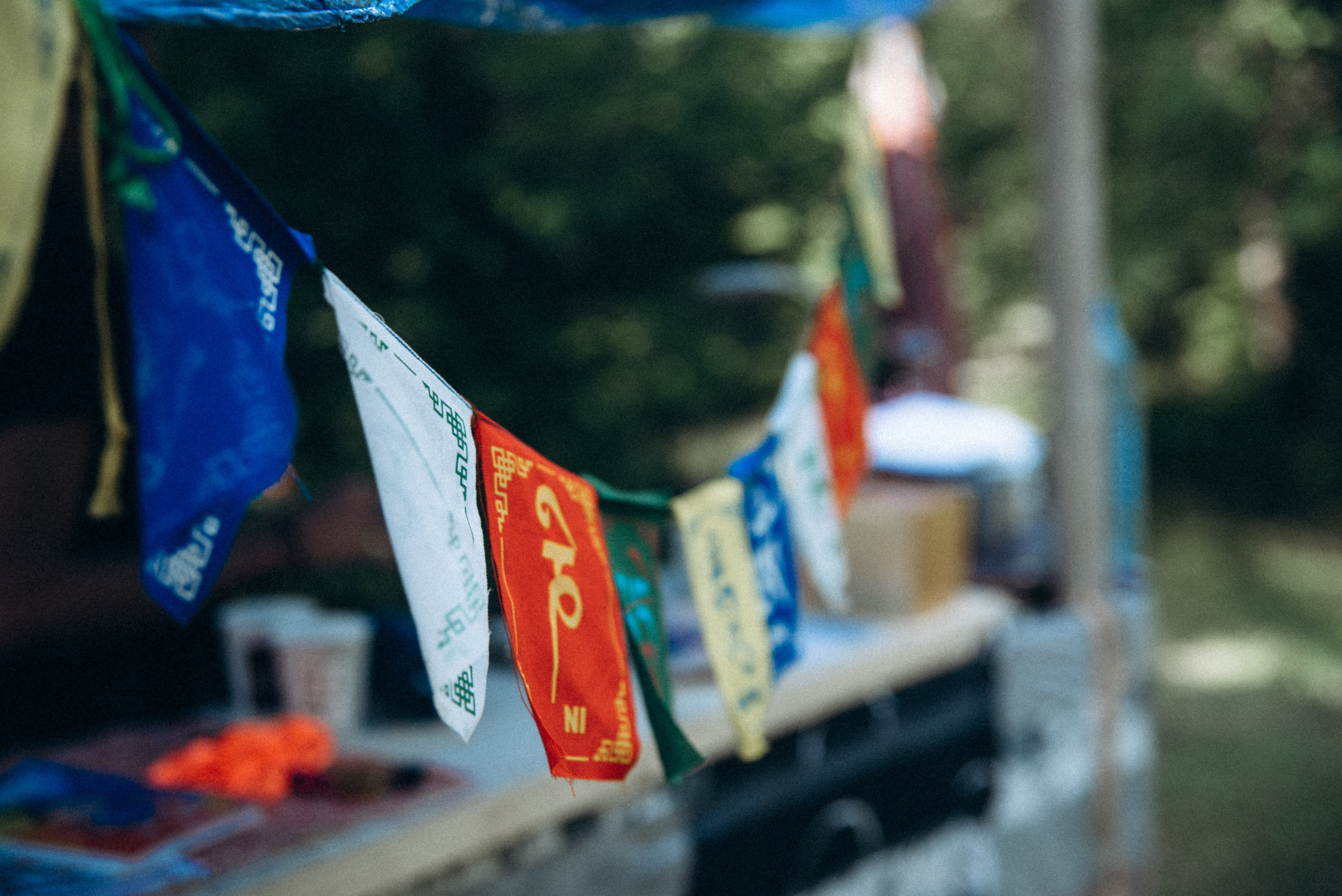 Harmoyfest 2023 Georgia 🇬🇪. Anita_photo