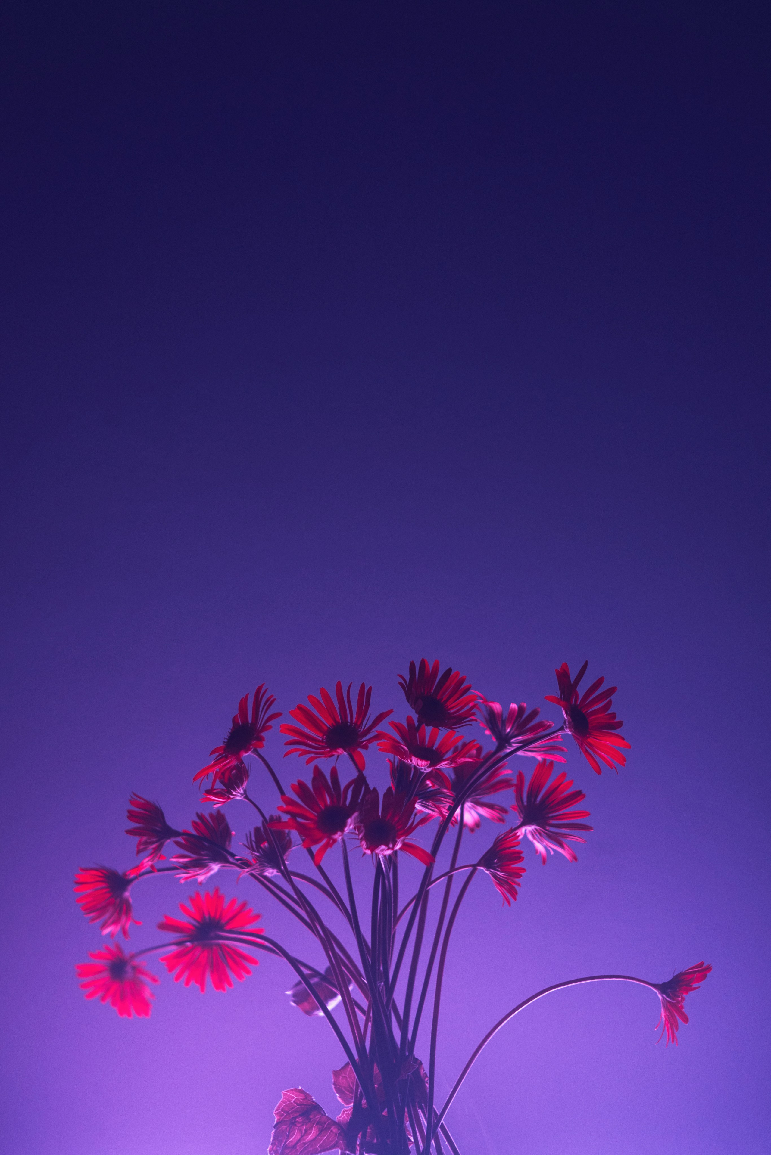 Фотограф в Москве Александр Иванов