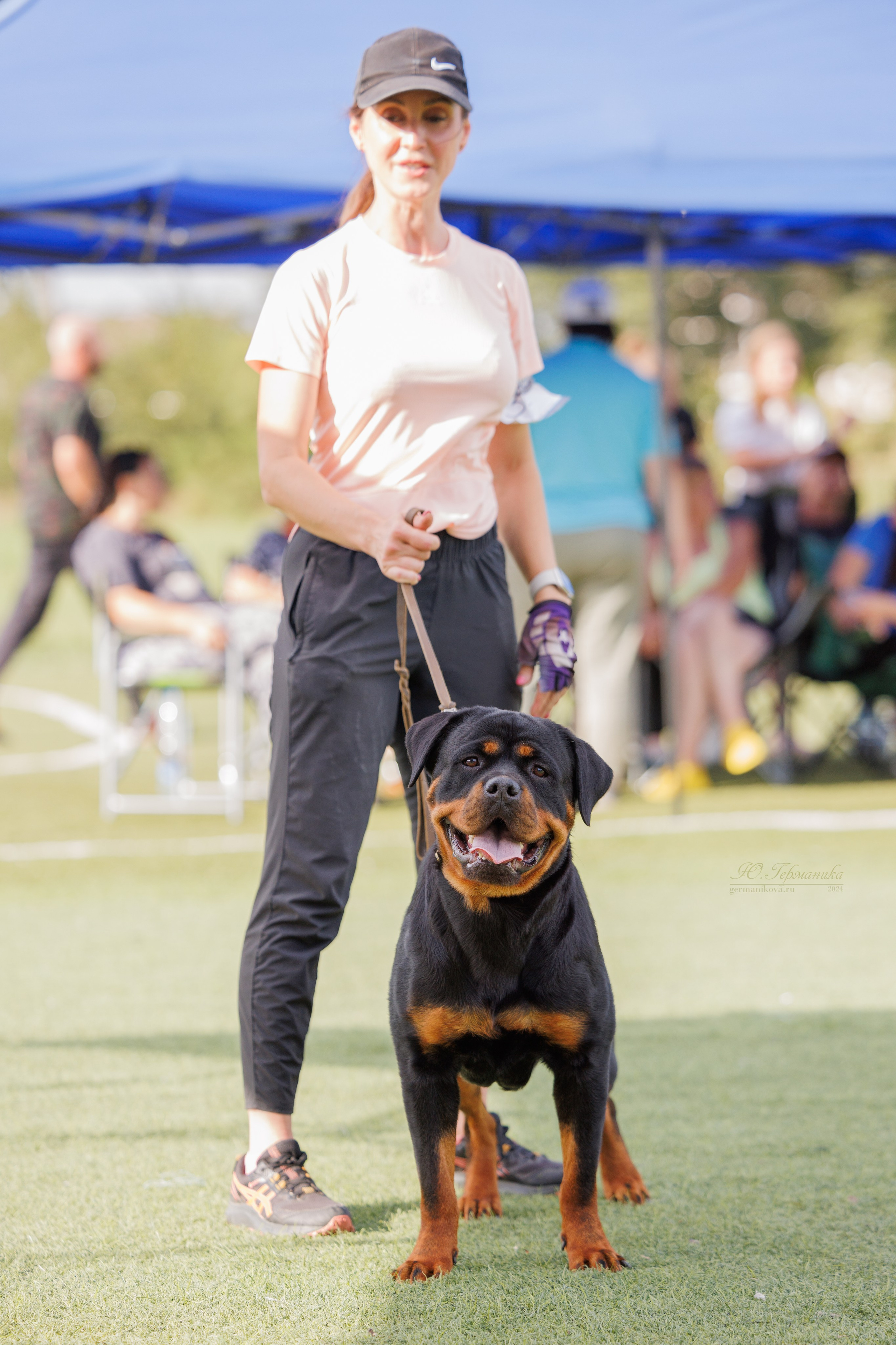 Анапа ротвейлеры 14-15.09.2024. Фотограф-анималист Юлия Германика
