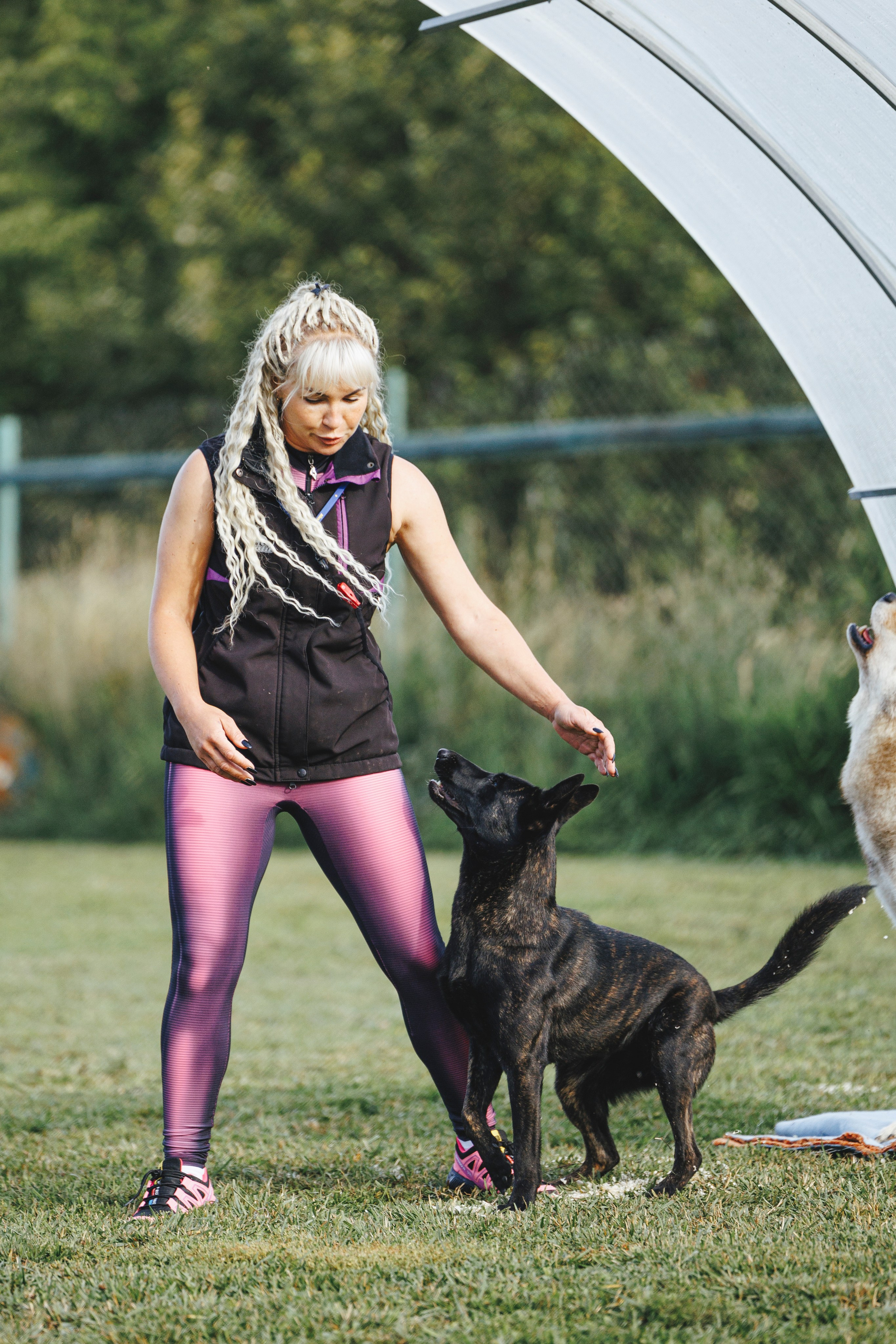 08.08.25-10.08.25 ЧР по мондьорингу г. Вологда. Фотограф-анималист Анна Маринич