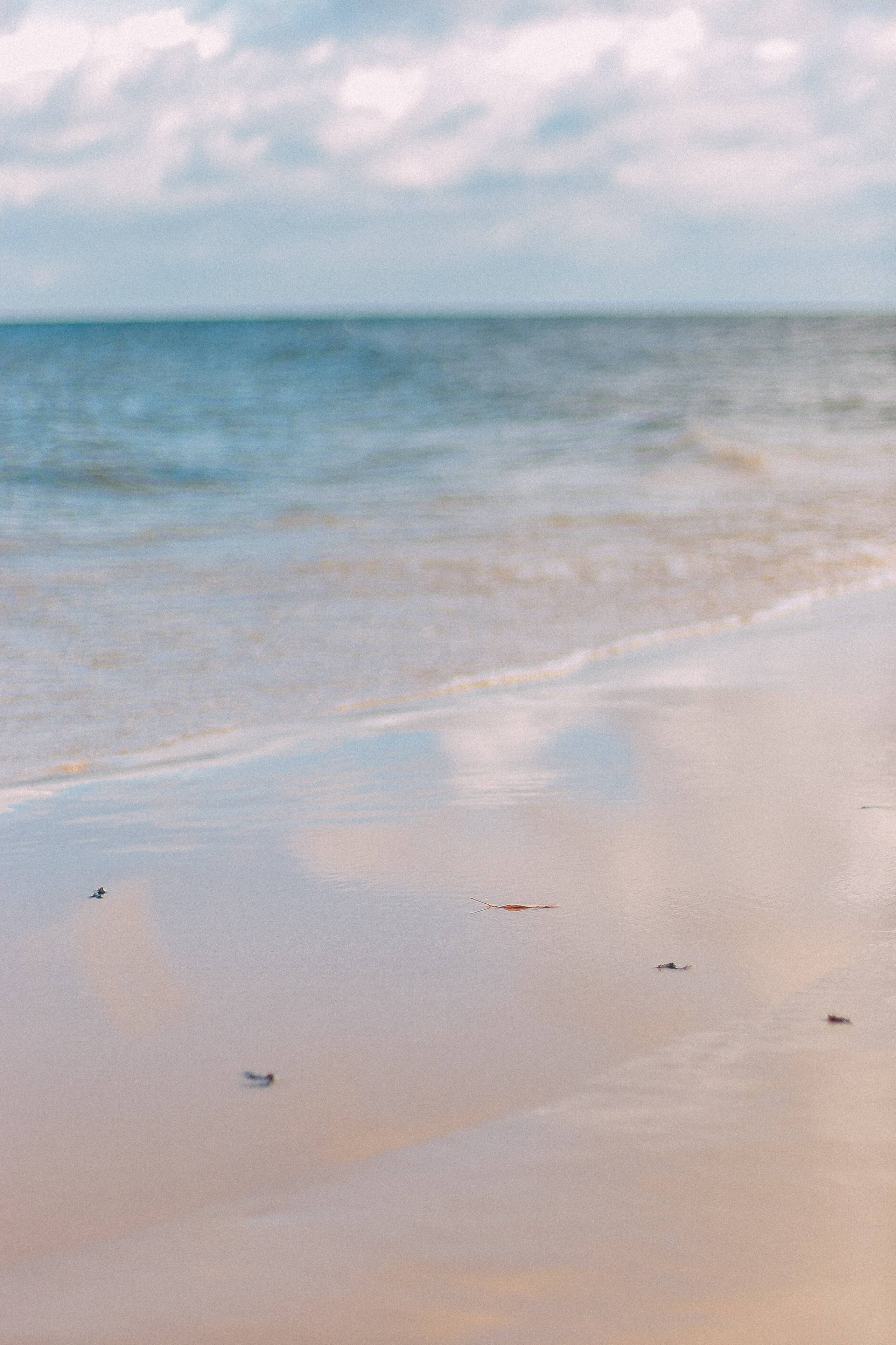 Латвия. Аня Степанова