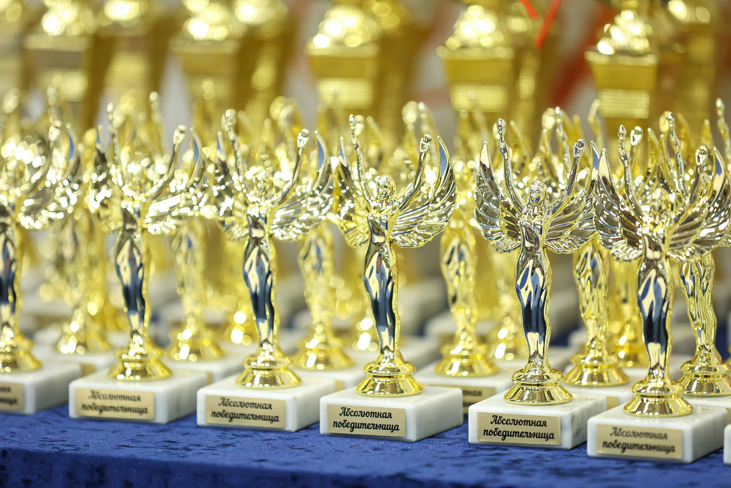 Золотые Ангелы 24.11.2024. Фото и видео съемка Ваших мероприятий