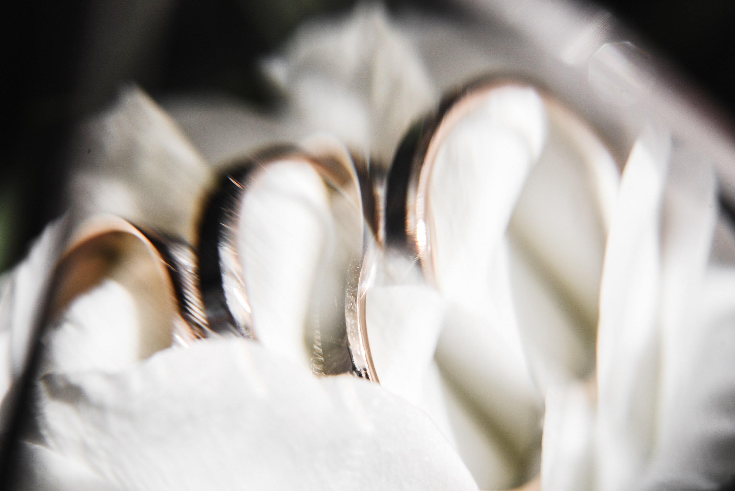 Artem & Yana. Главная