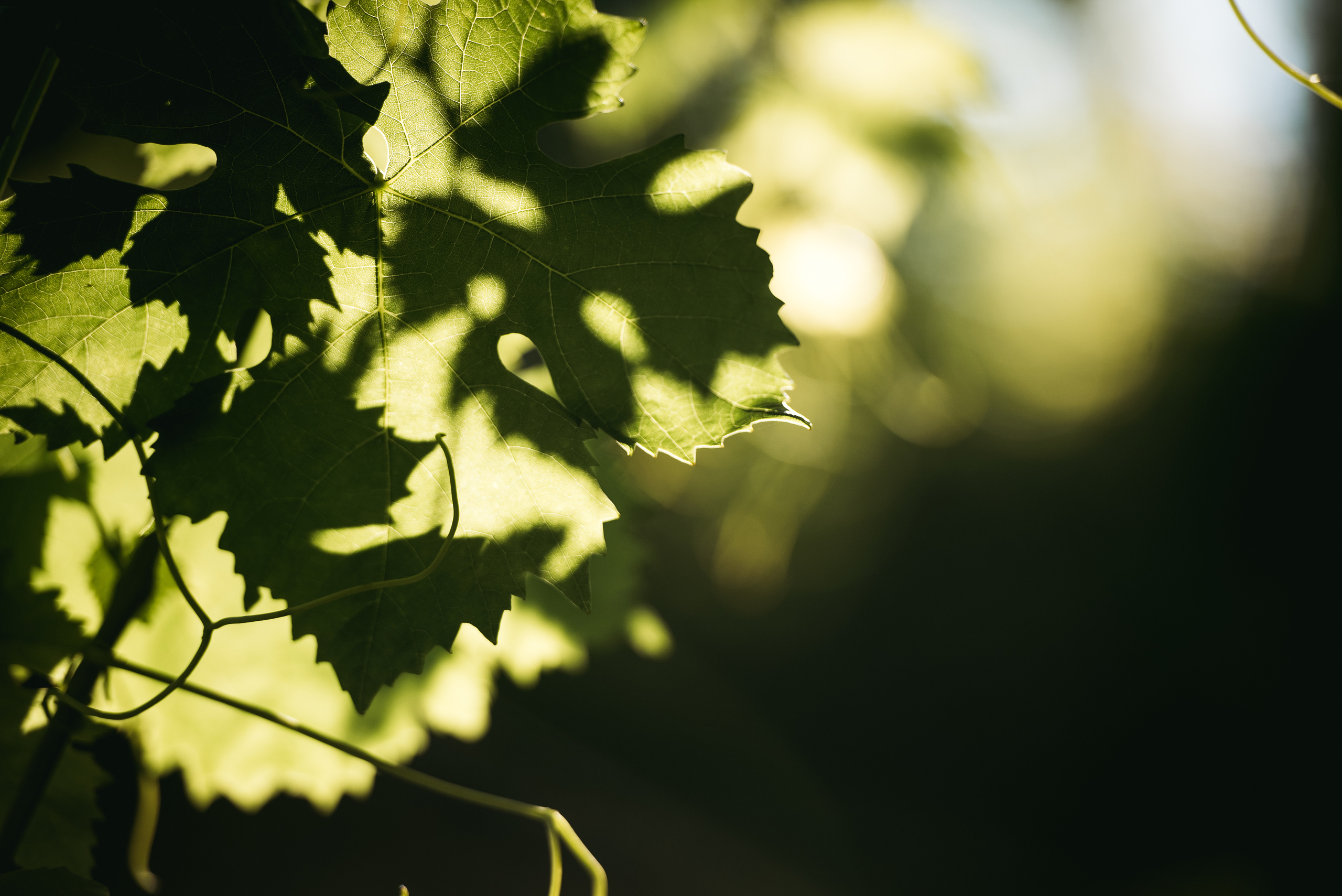 Greece. Главная