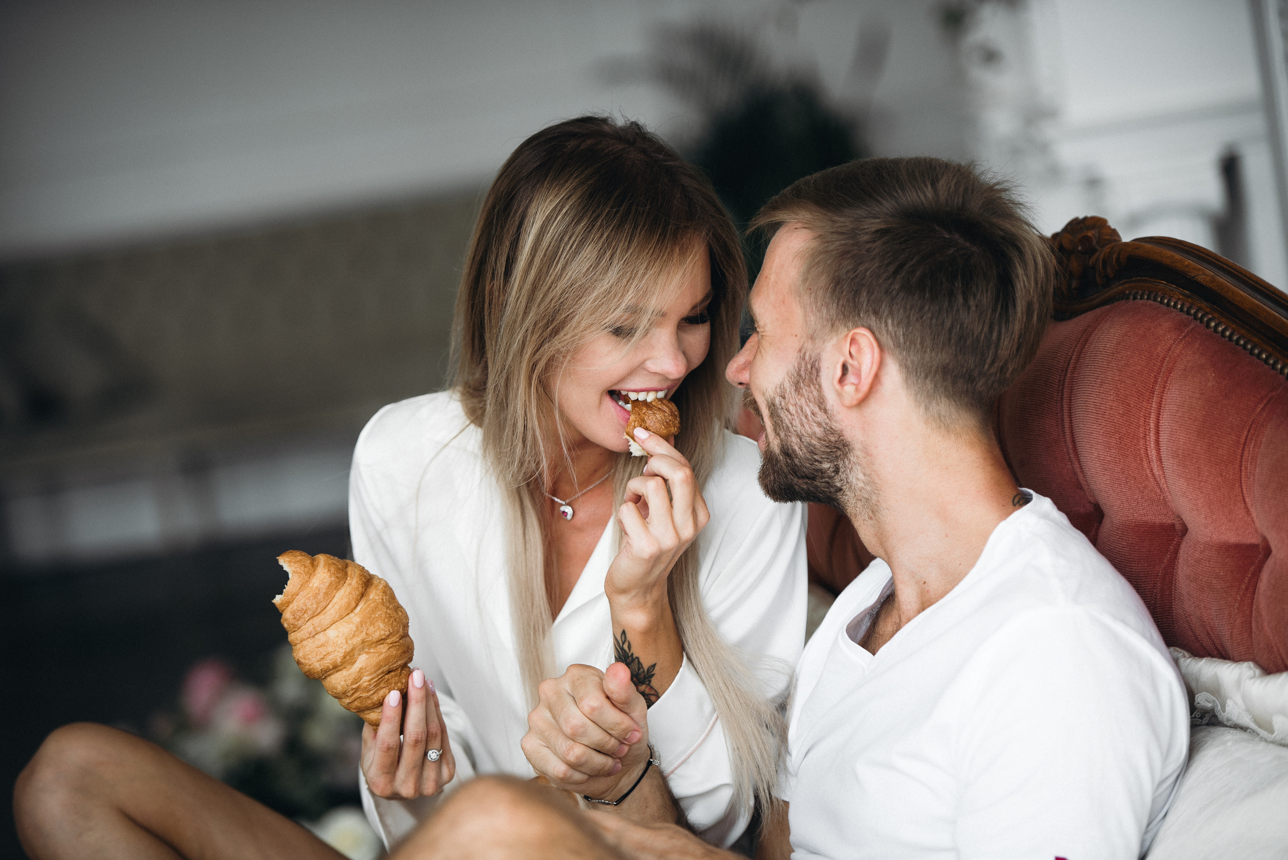 Seneshel. Главная