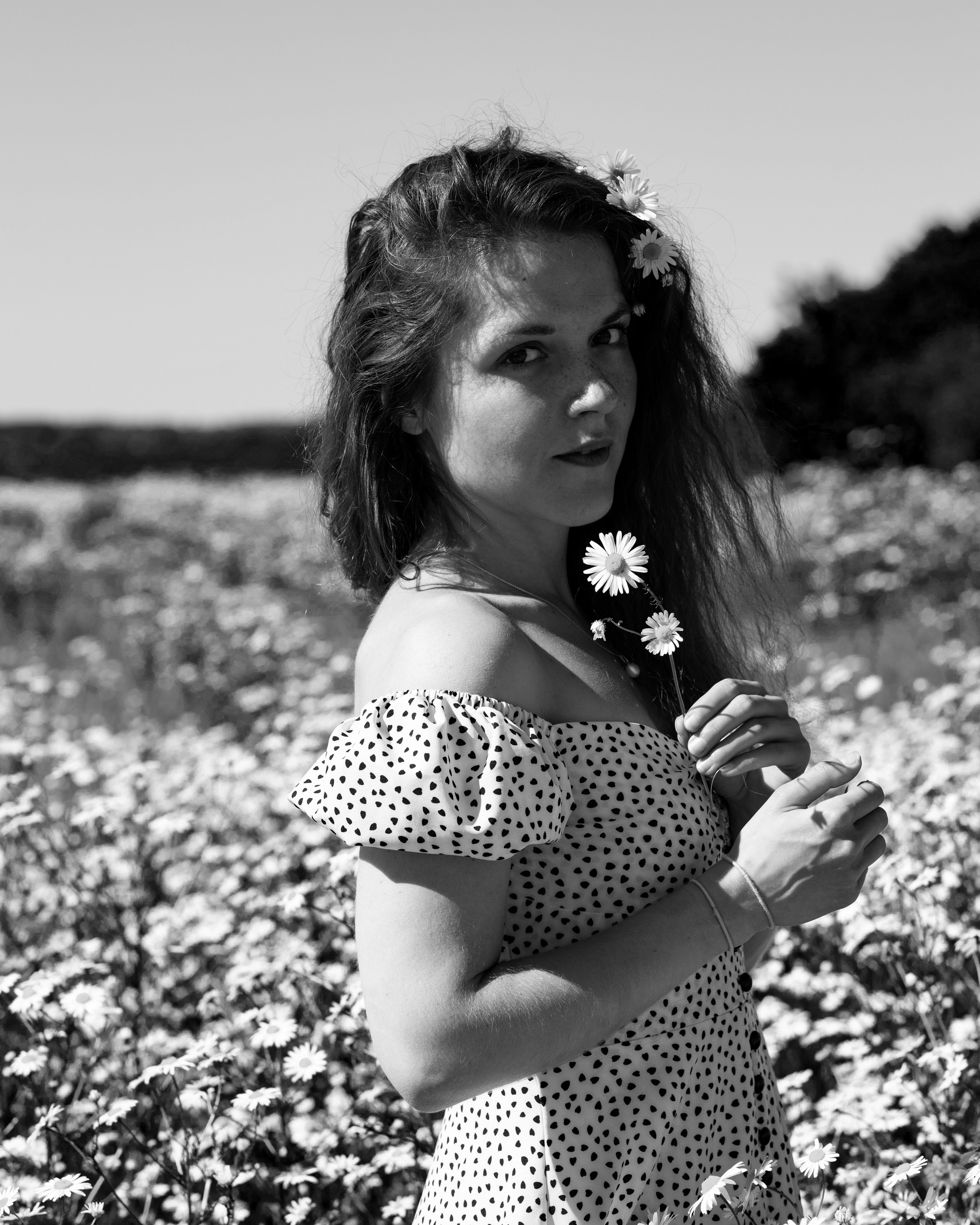 ЧБ ромашки. Портретный фотограф Екатерина Лысенко, Москва