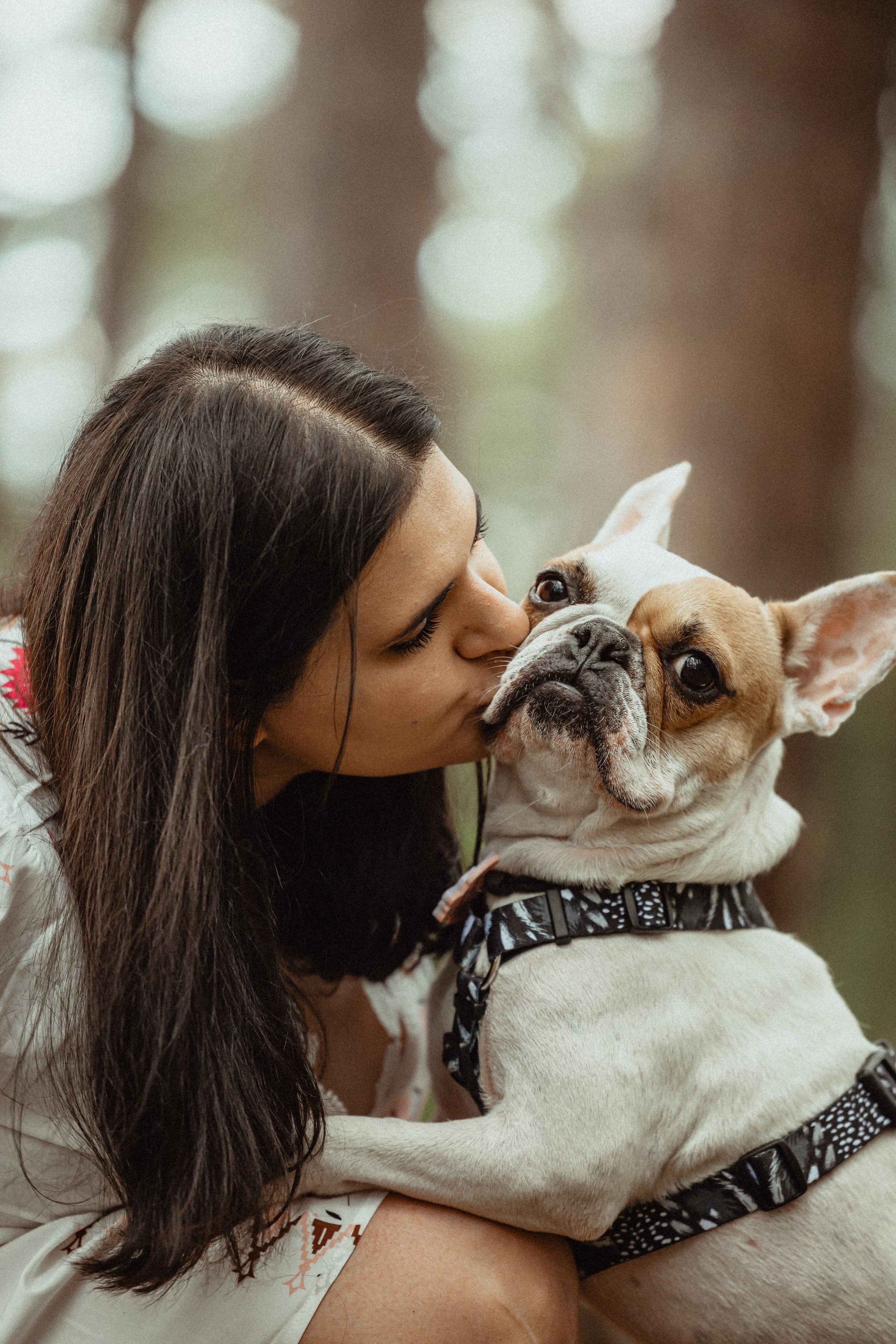 Выездной дог-тренинг от школы «Шерсть имею»