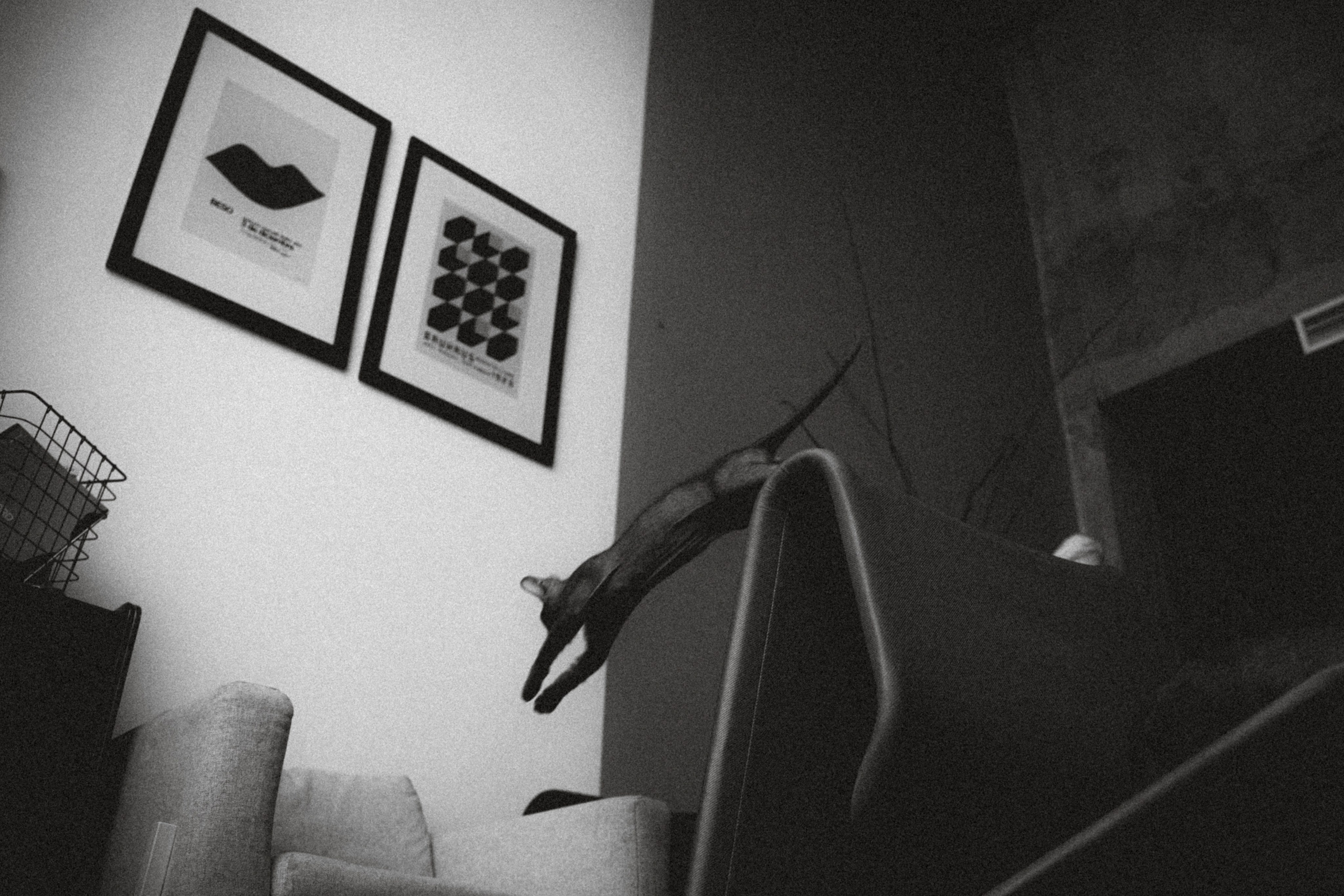 Кокос, Света, Динара и Вилли