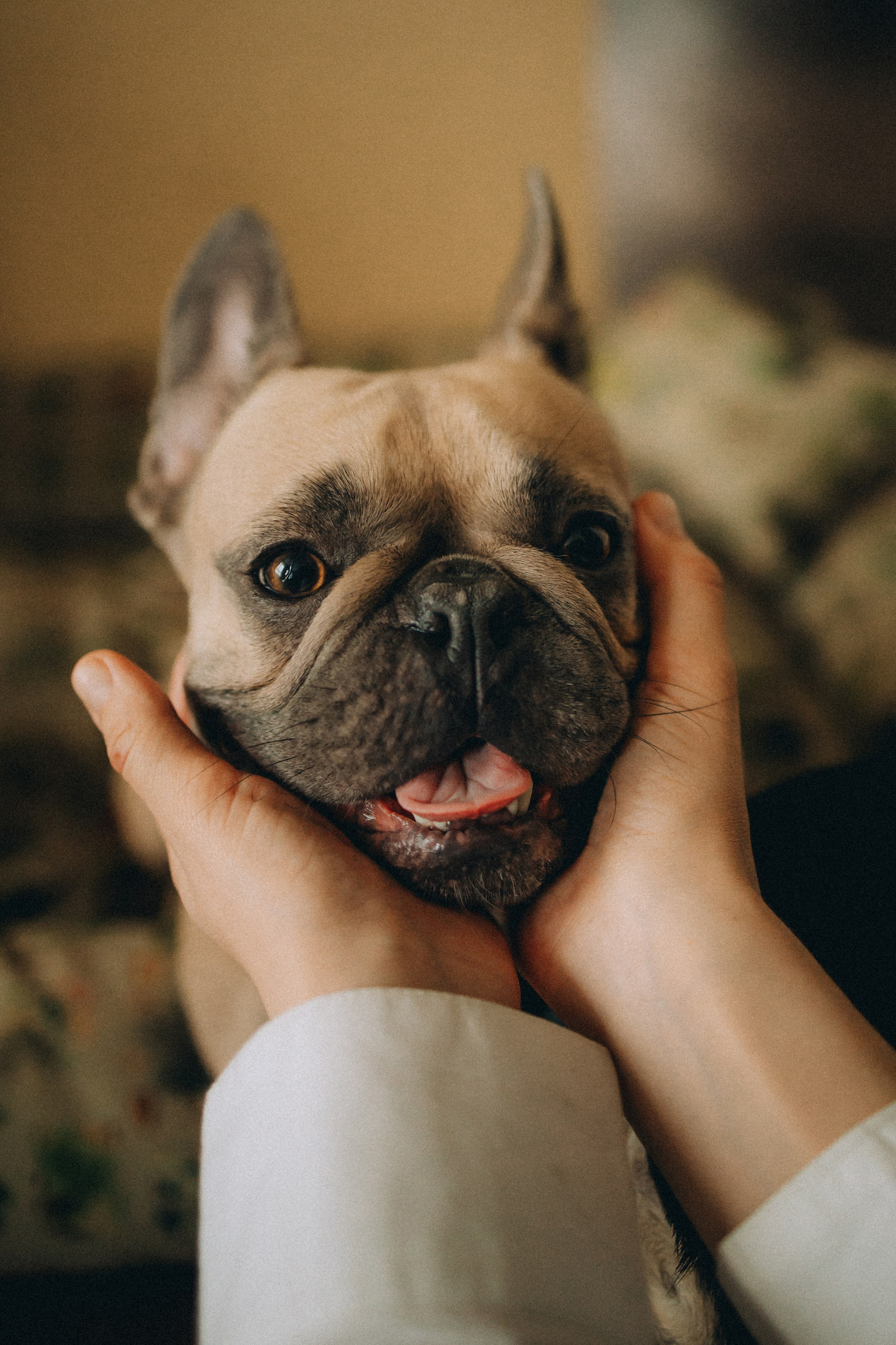 Юля, Мия и Зек