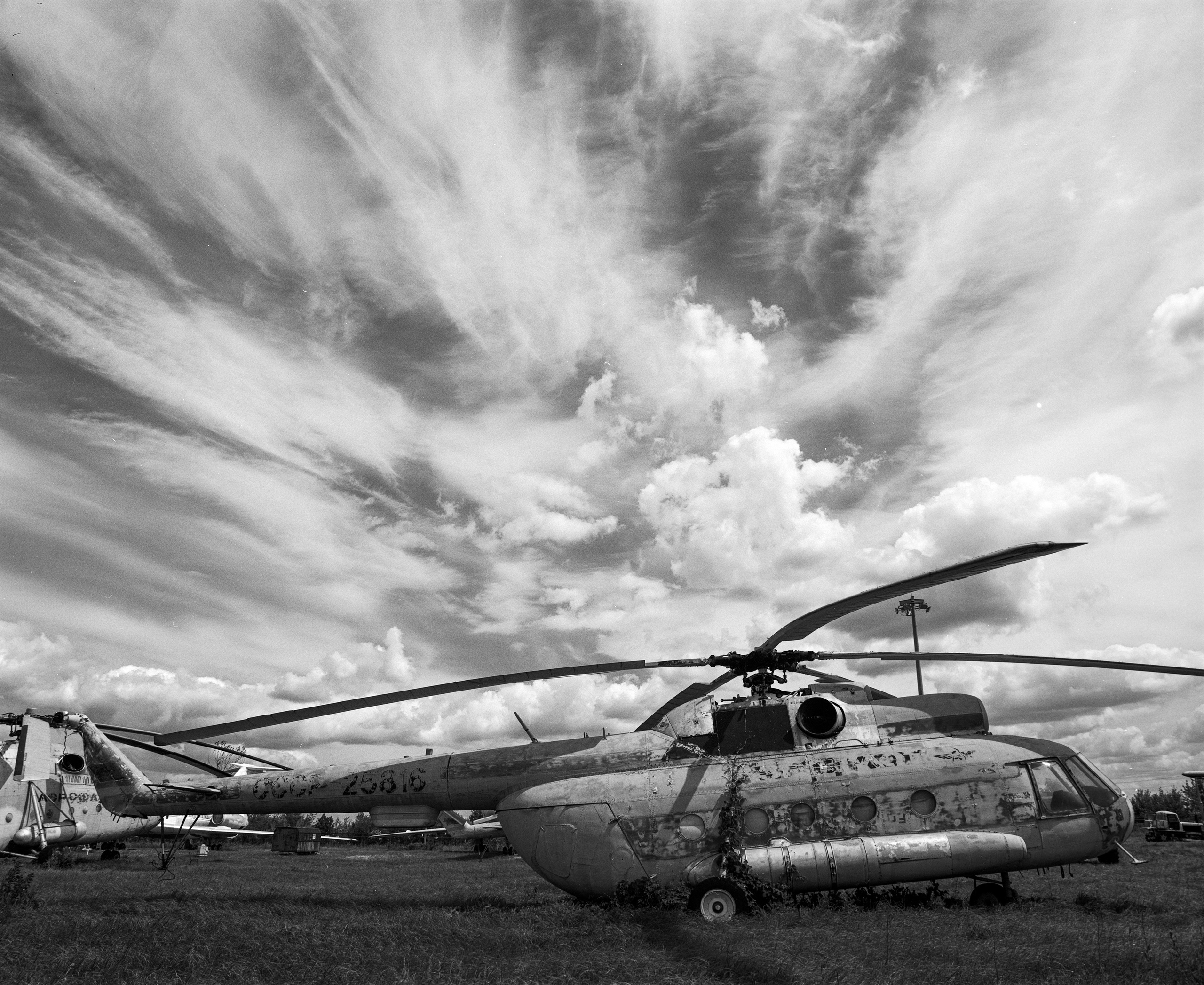 Landscape. Philipp Yelistratov