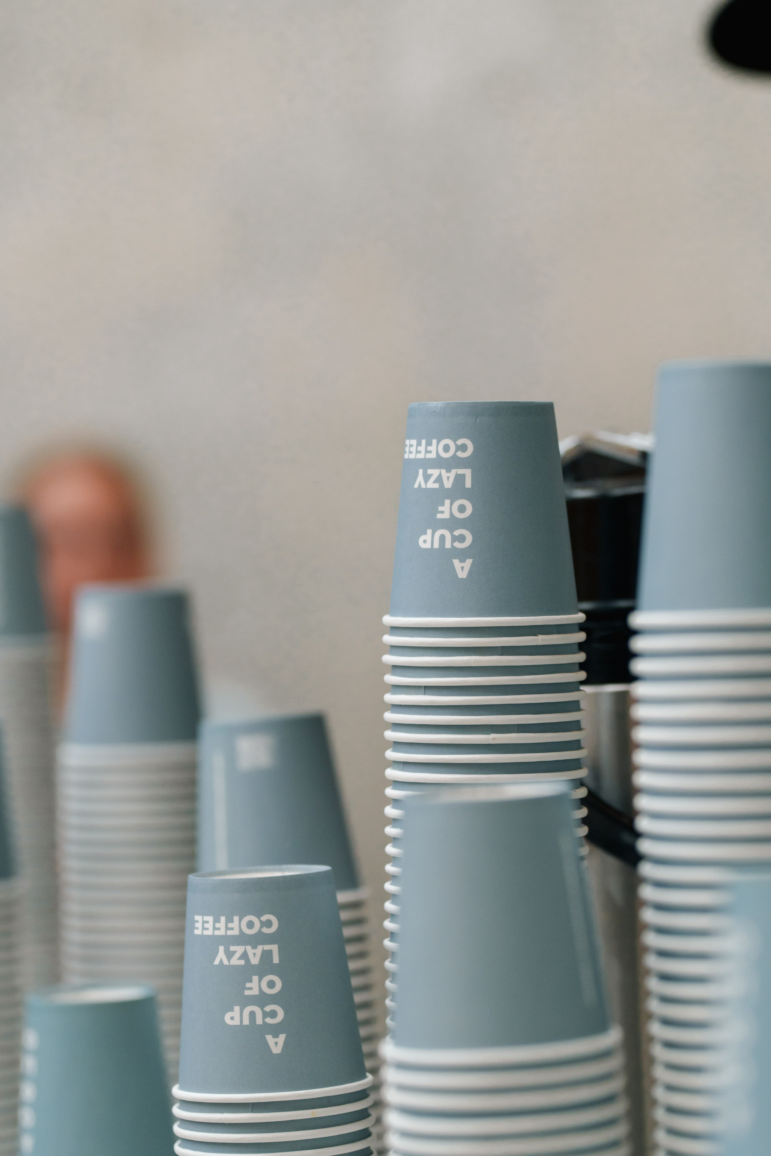 Конфа 2025. Фотограф в Санкт-Петербурге Ибрагимова Алина