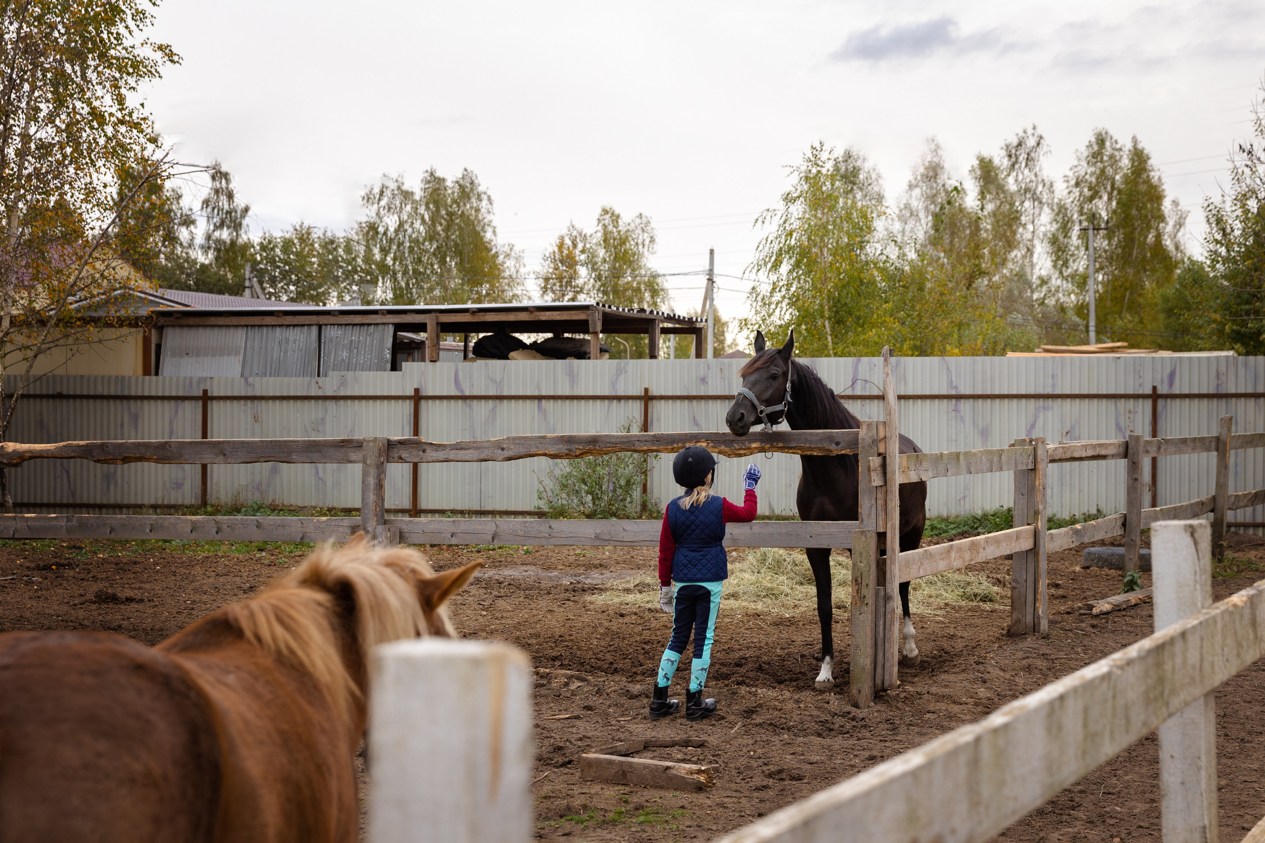 Конная тренировка Анастасии