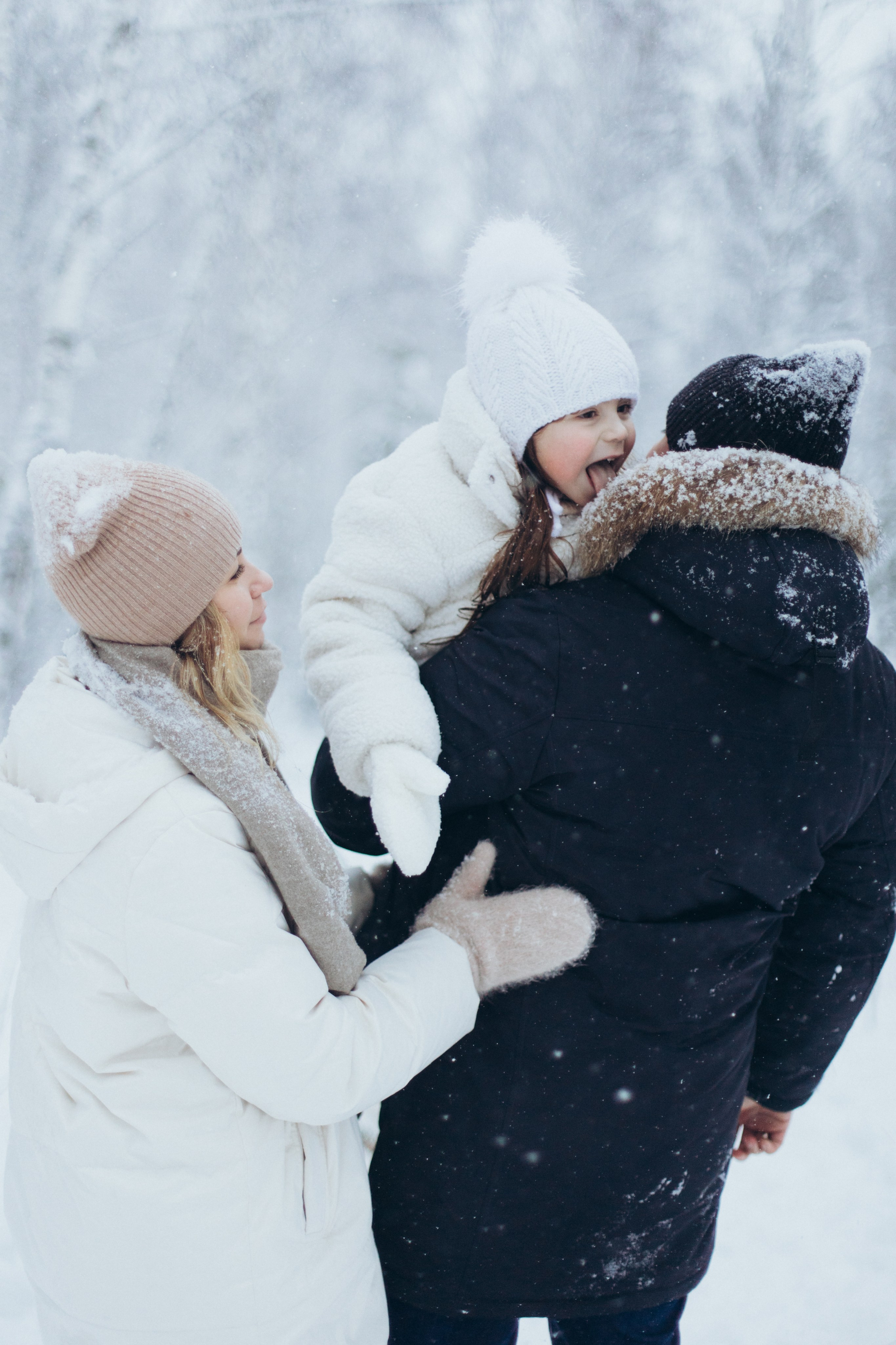 Зимняя история