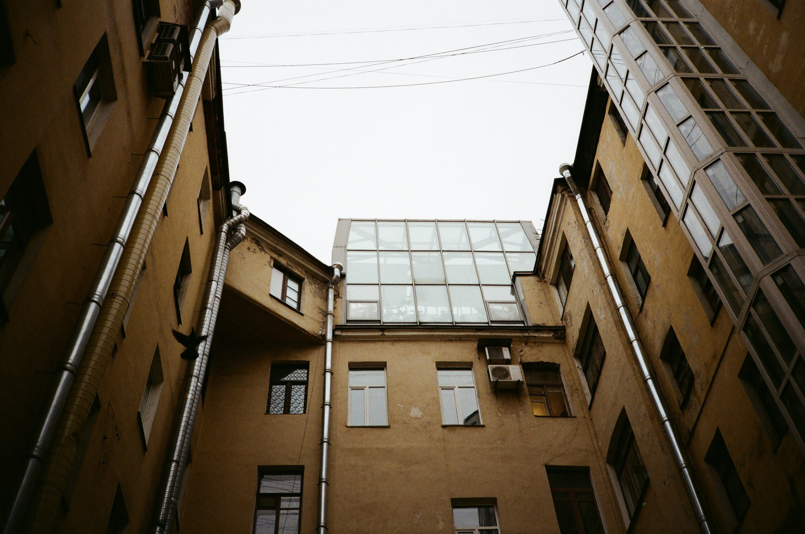 Please, Don't Leave. Pavlov Arts