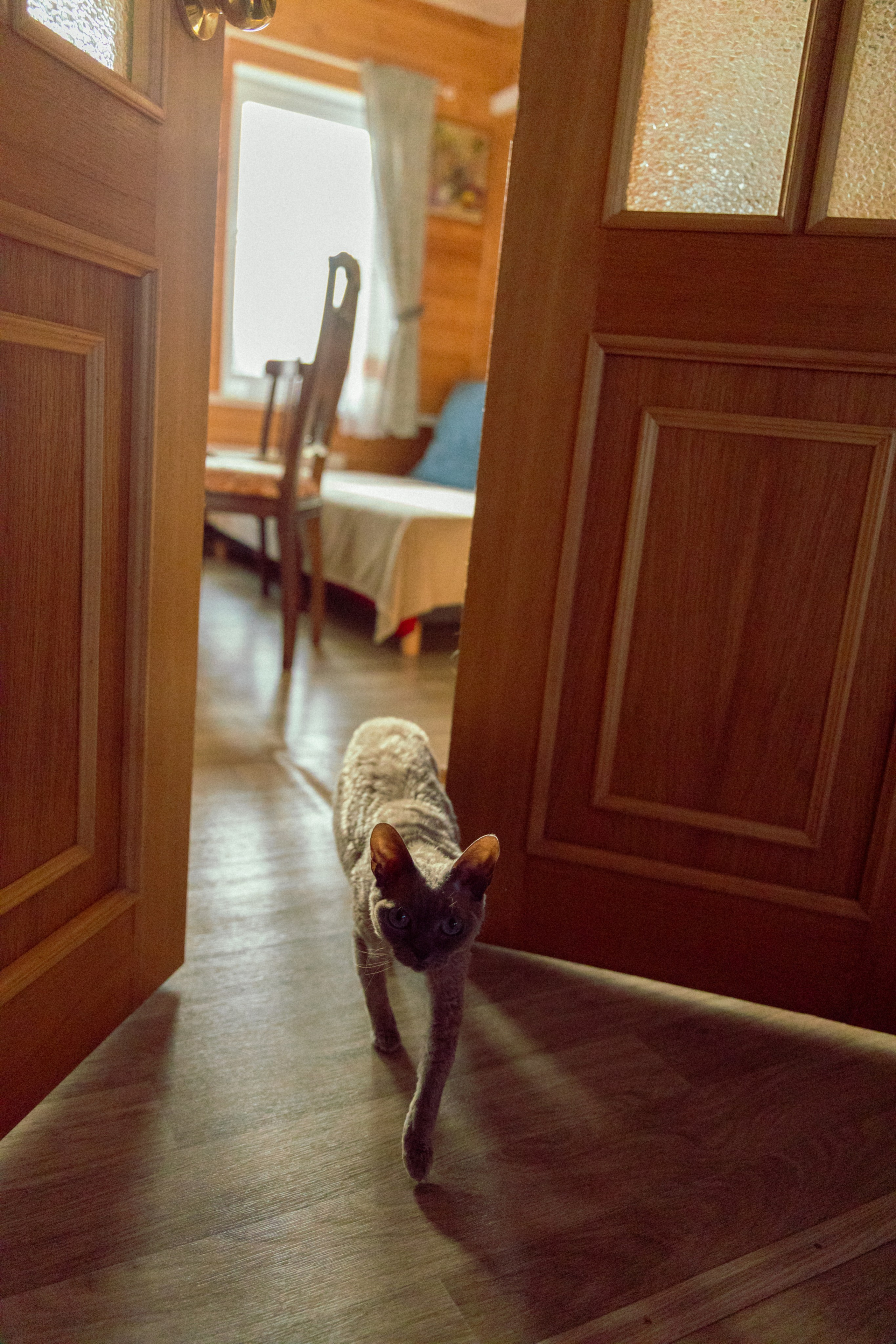 Света и Артем. Фотограф в Нижнем Новгороде Воробьева Анжела