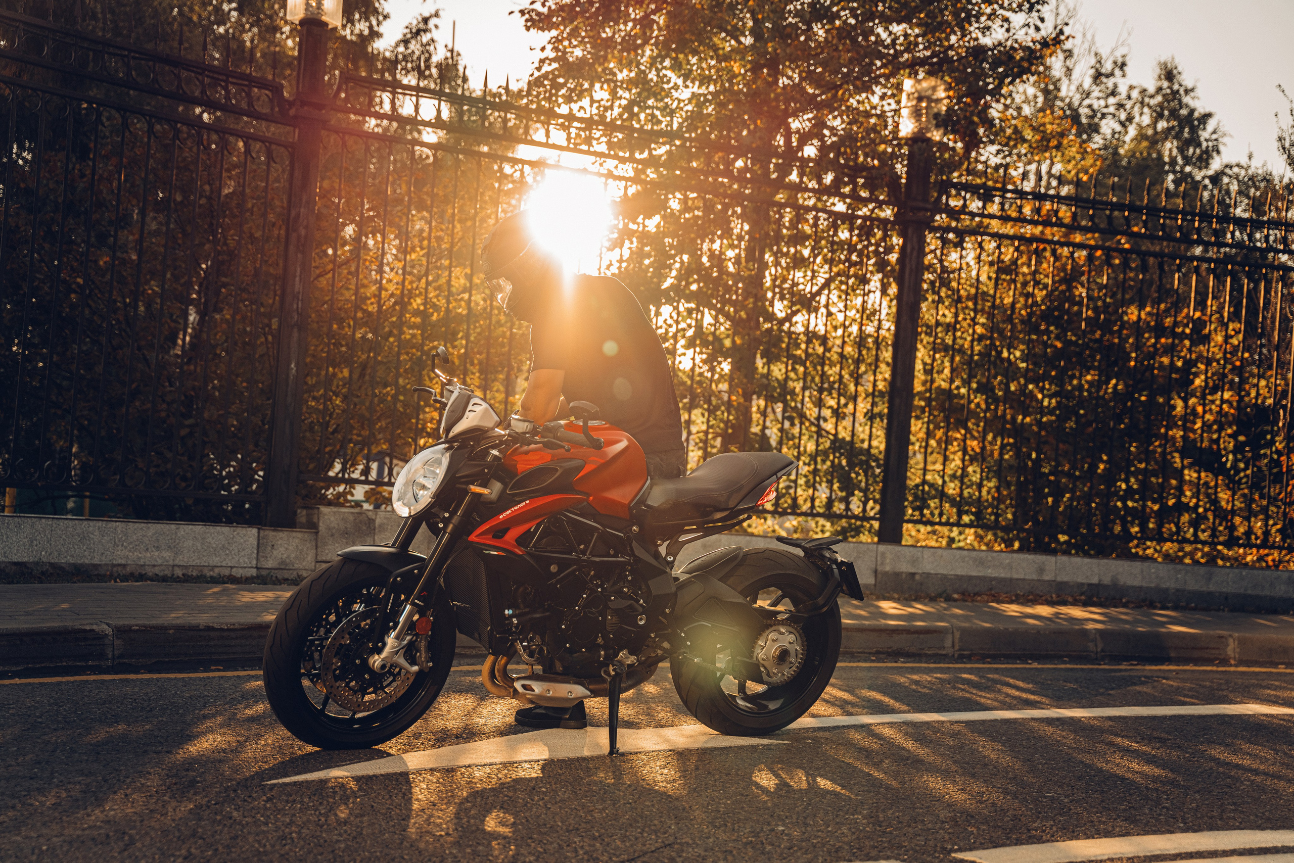 Железный Серёга. Профессиональный детский и семейный фотограф в Москве Диля Грошева