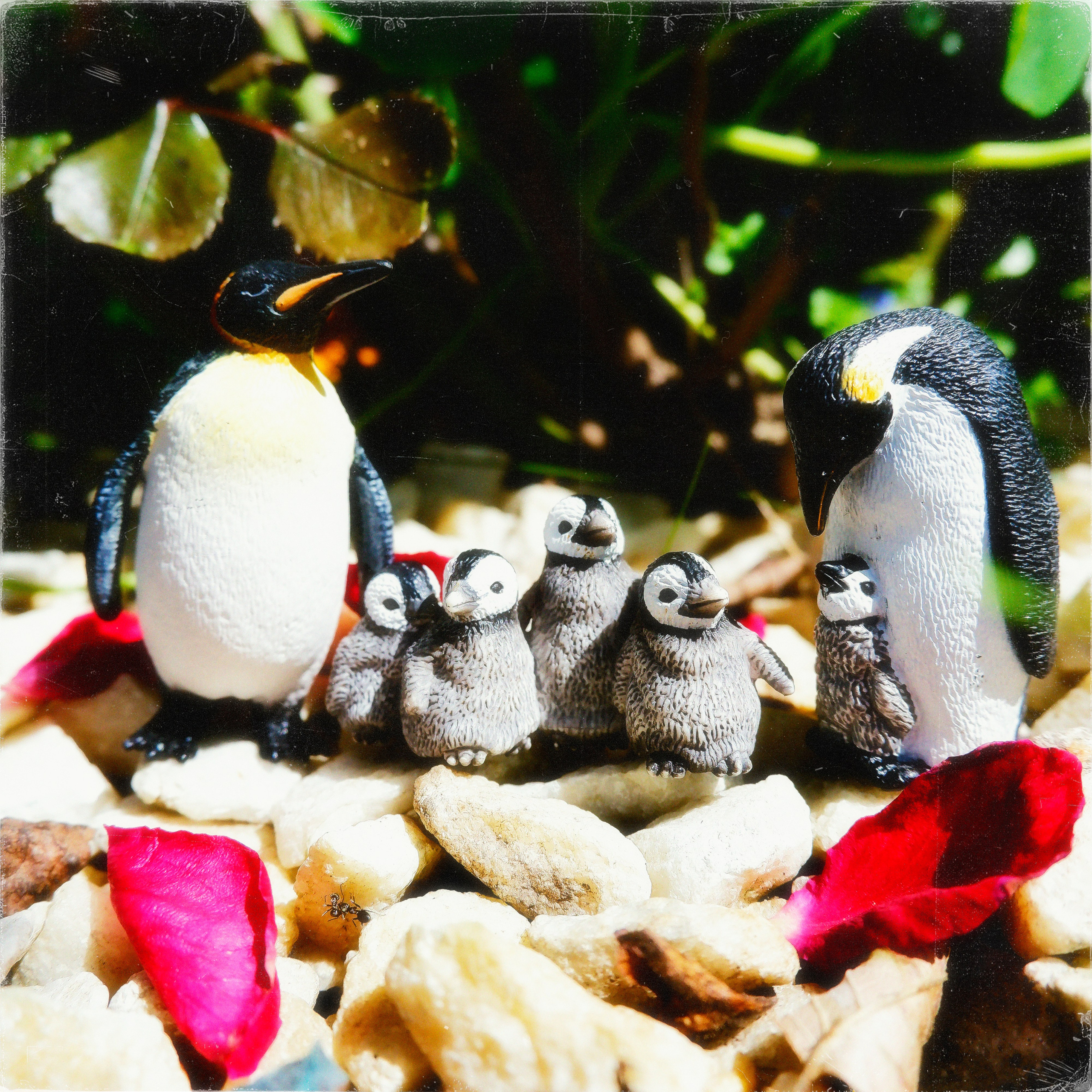 TOYS. ANNA — PHOTOGRAPHER