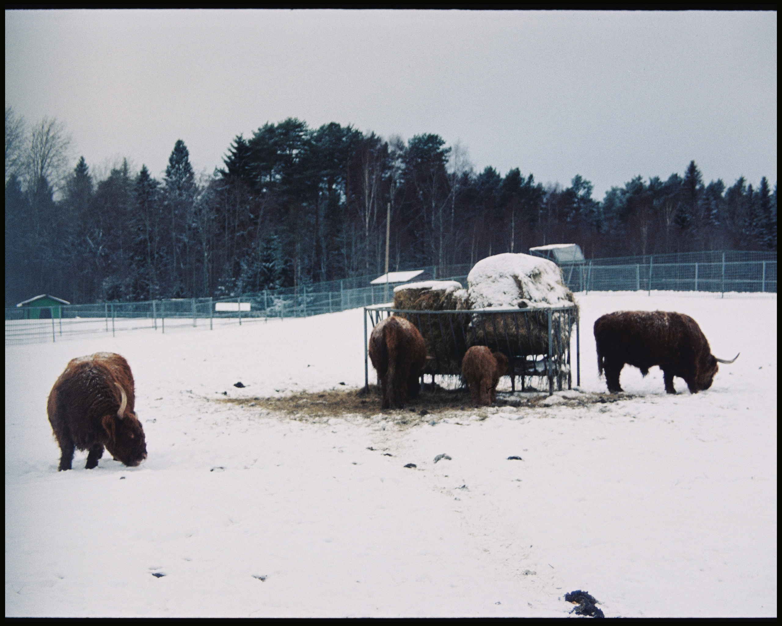 KARELIA. ANNA — PHOTOGRAPHER