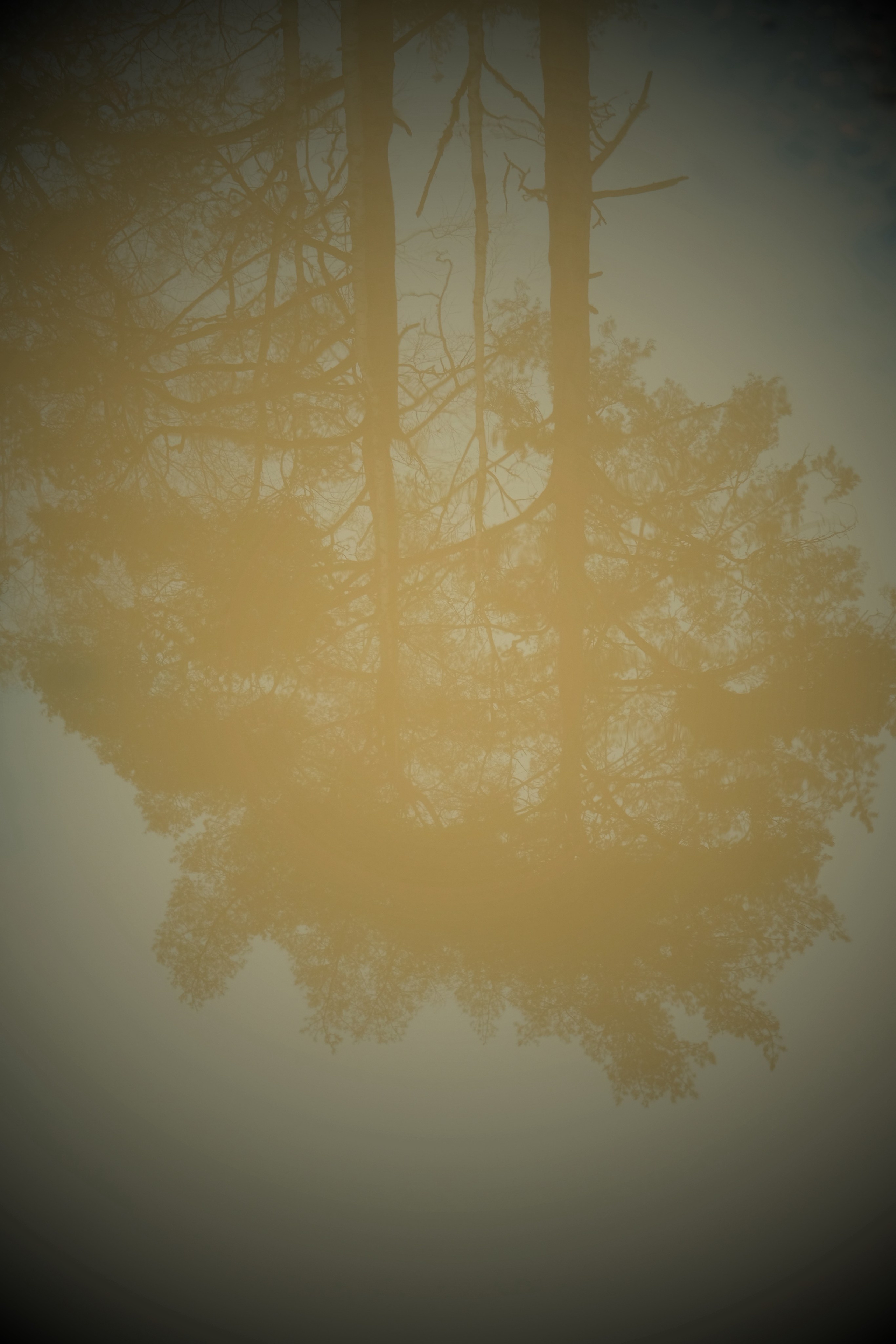 Рефлексия. Портретный фотограф