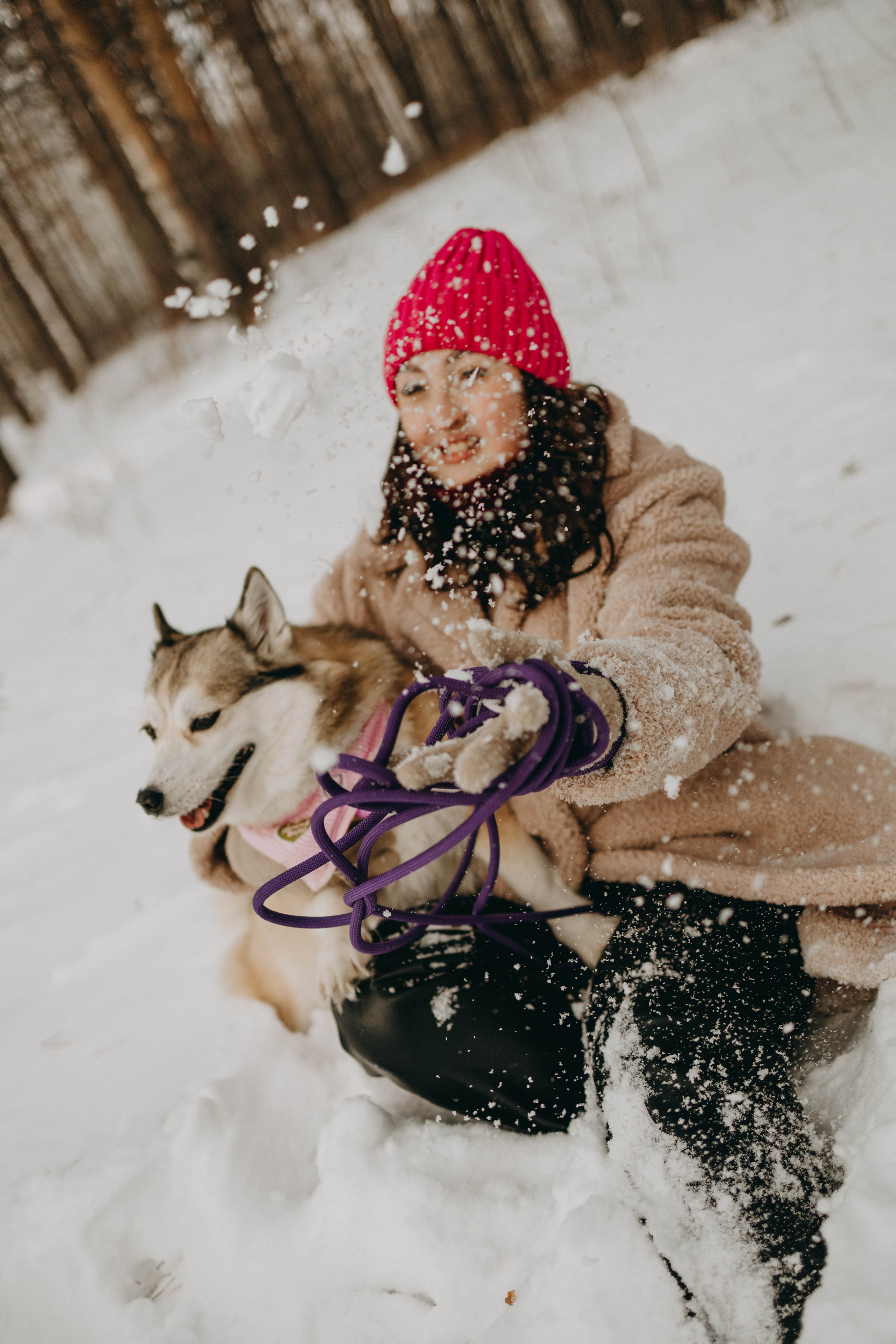 Варвара и Шелби. Фотограф-анималист в Екатеринбурге | Кристина