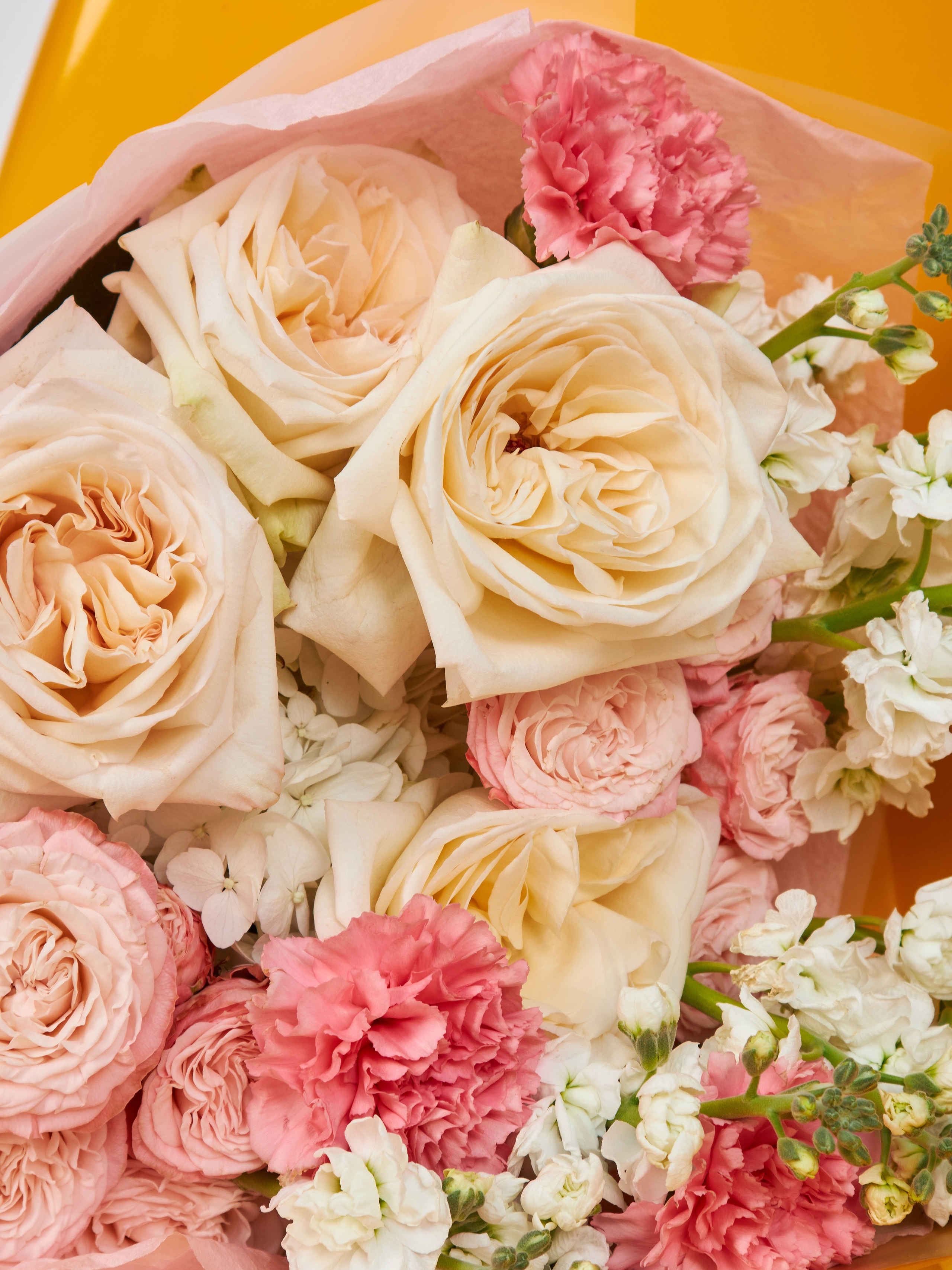 Использование специализированного оборудования для съемки каталога одежды в движении (бег, прыжки) в студии Москвы