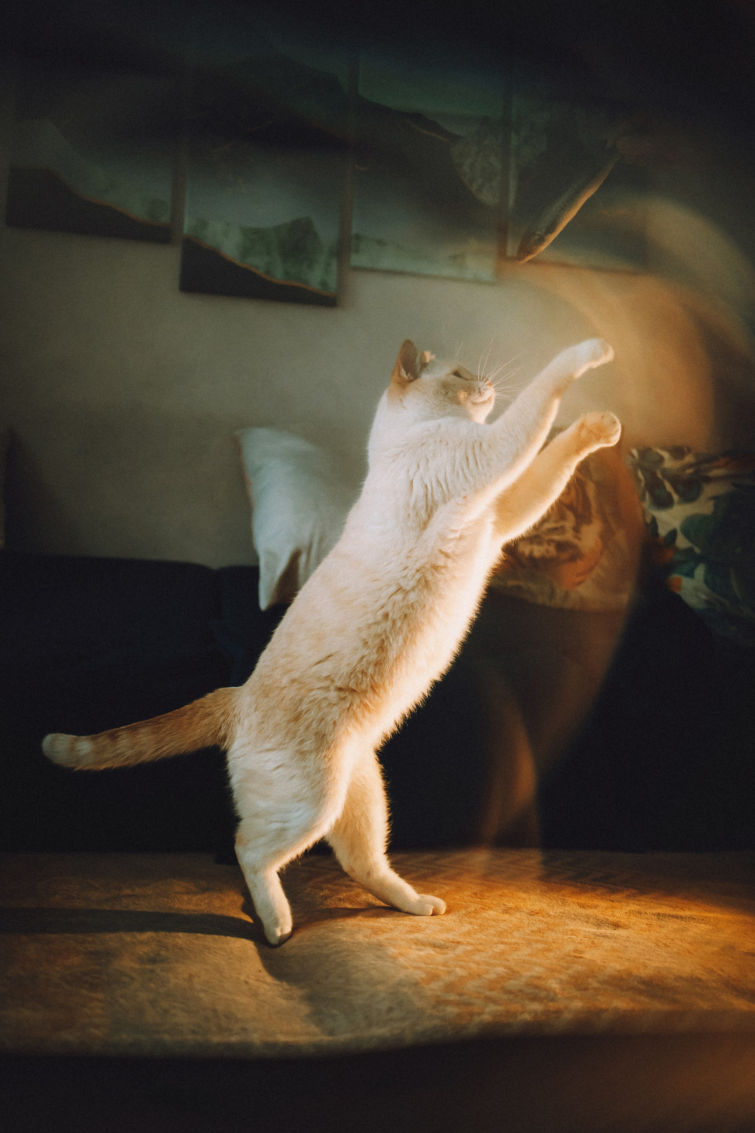 Топик и его семья