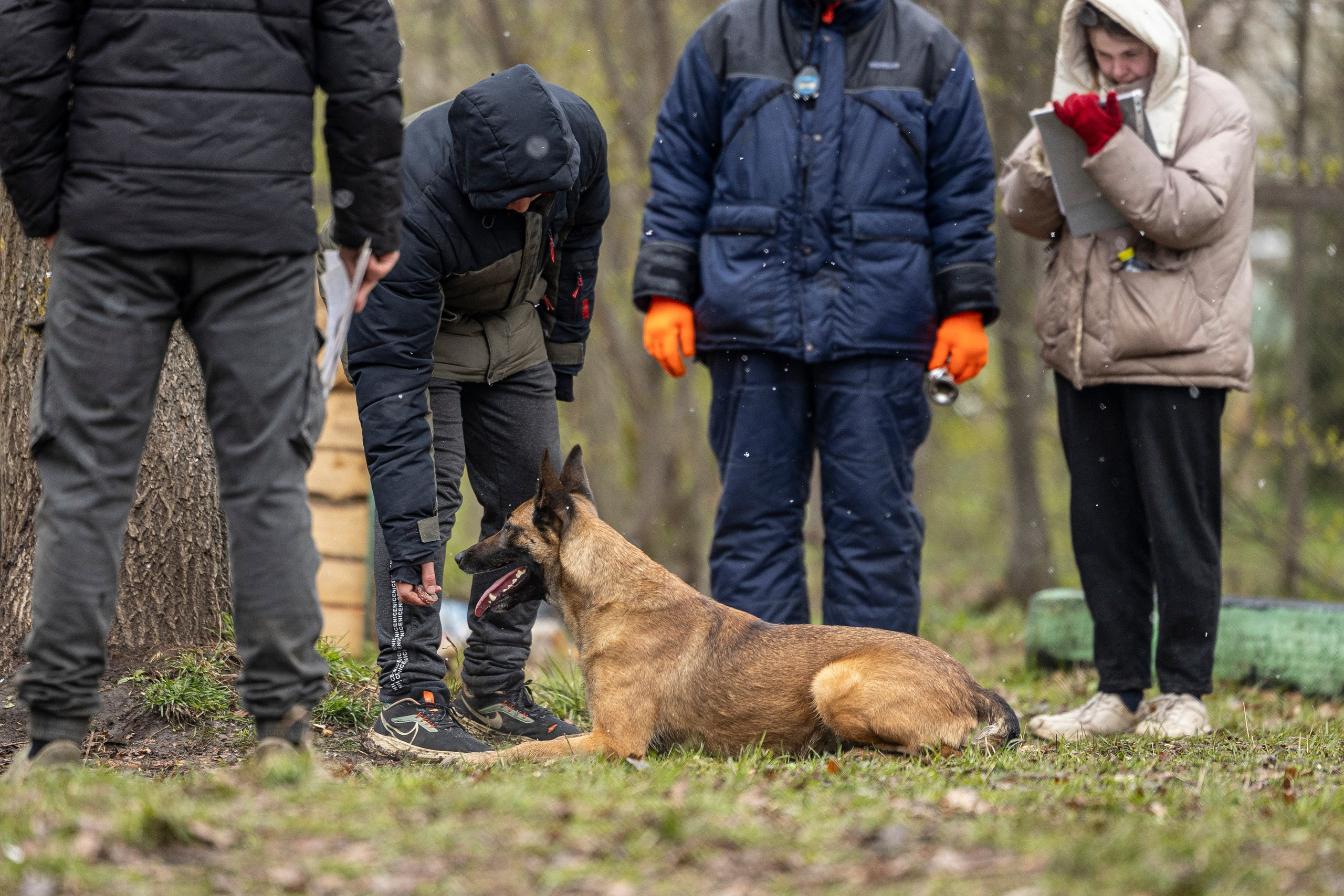 Квалификационные состязания по мондьорингу г. Вологда 11.05.24. Фотограф-анималист Анна Маринич